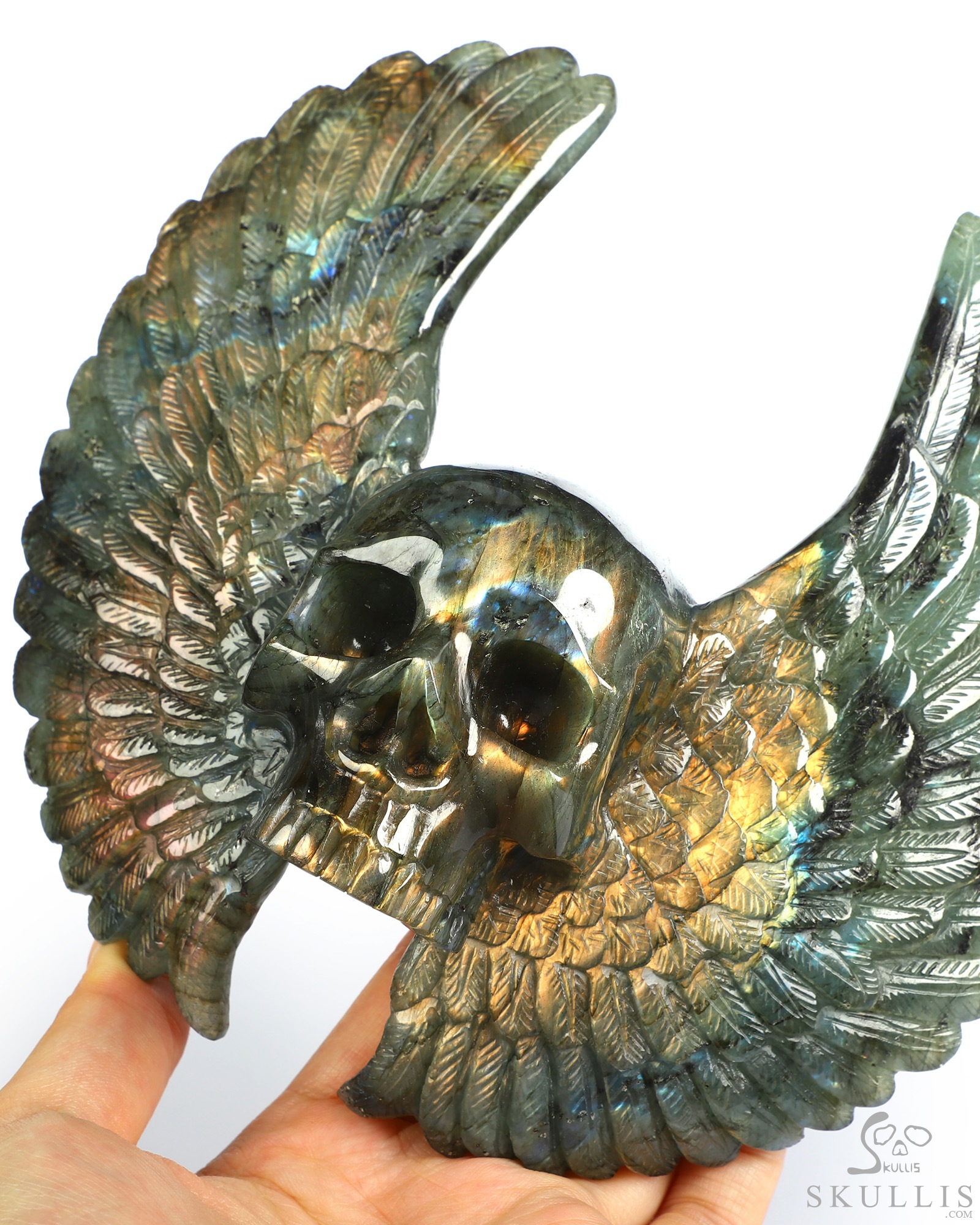 Sept 3, 2026 ACSAD (A Crystal Skull a Day) - Wings of Azrael - 6.6" Labradorite Hand Carved Wings Crystal Skull Sculpture, Crystal Healing Sept 3, 2026 ACSAD (A Crystal Skull a Day) - Wings of Azrael - 6.6" Labradorite Hand Carved Wings Crystal Skull Sculpture, Crystal Healing