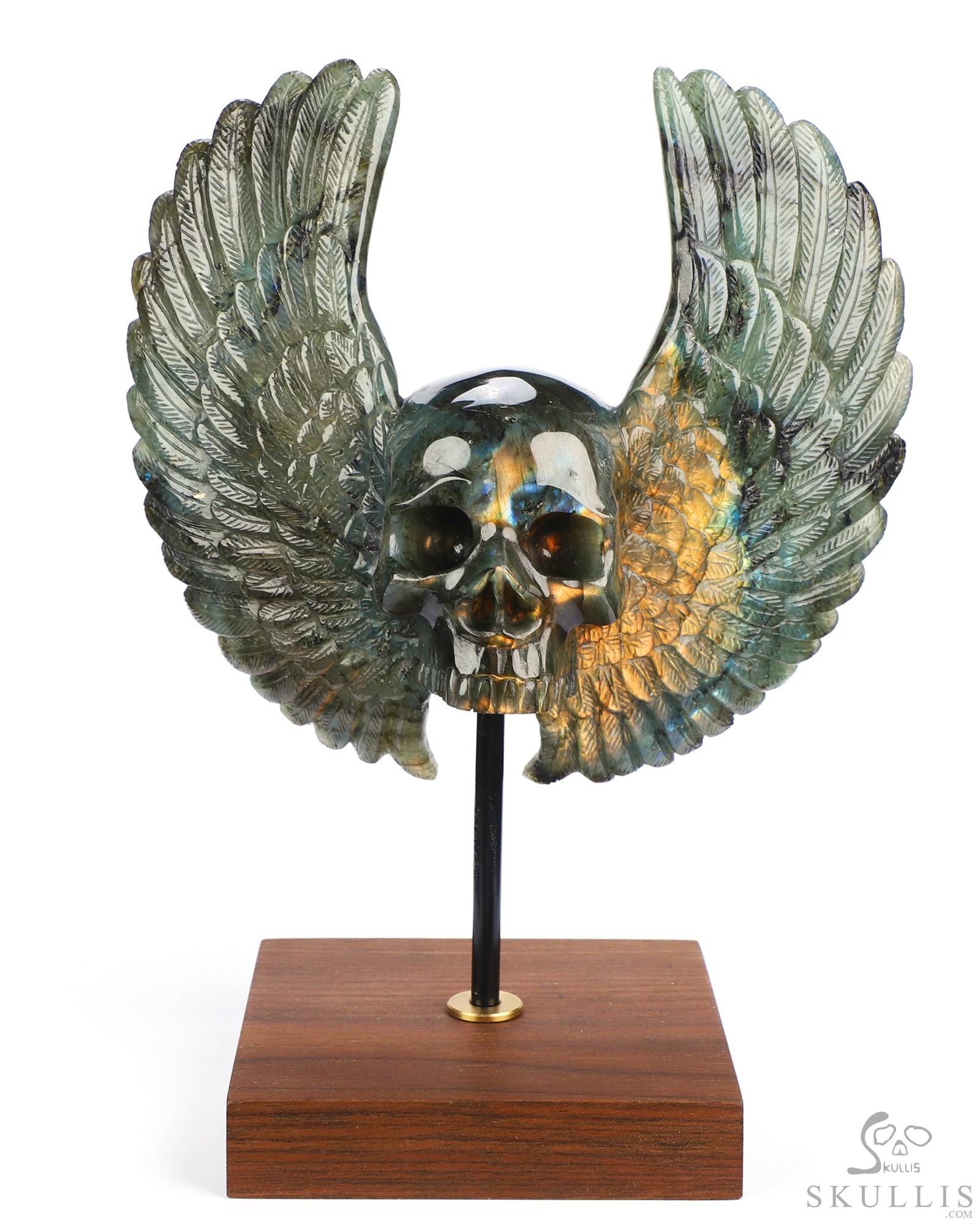 Sept 3, 2026 ACSAD (A Crystal Skull a Day) - Wings of Azrael - 6.6" Labradorite Hand Carved Wings Crystal Skull Sculpture, Crystal Healing Sept 3, 2026 ACSAD (A Crystal Skull a Day) - Wings of Azrael - 6.6" Labradorite Hand Carved Wings Crystal Skull Sculpture, Crystal Healing