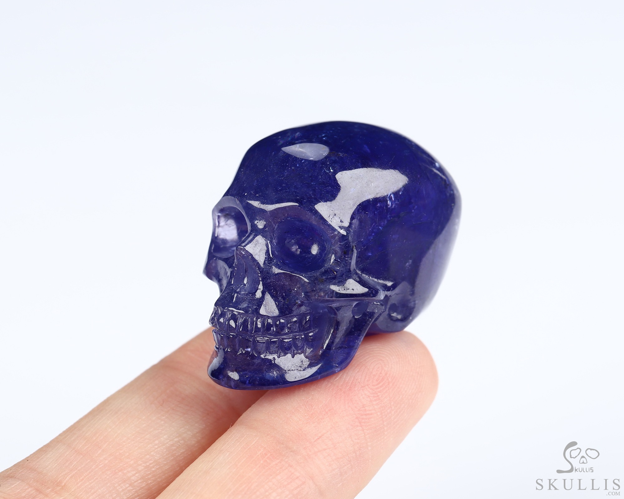 June 17, 2026 ACSAD (A Crystal Skull a Day) - The Indigo Oracle - 1.2" Tanzanite Hand Carved Crystal Skull, Realistic, Crystal Healing June 17, 2026 ACSAD (A Crystal Skull a Day) - The Indigo Oracle - 1.2" Tanzanite Hand Carved Crystal Skull, Realistic, Crystal Healing