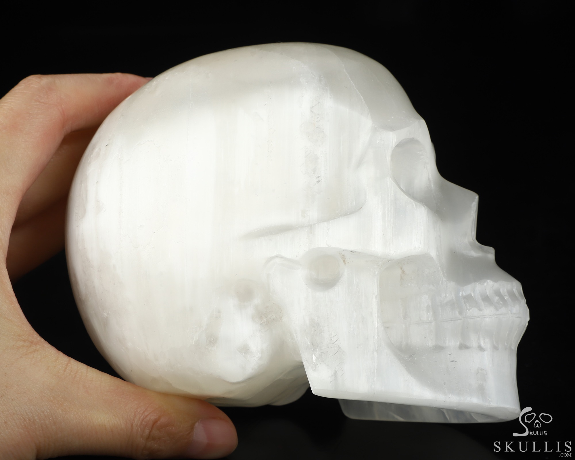 5.0" Selenite Hand Carved Crystal Skull, Realistic, Crystal Healing 5.0" Selenite Hand Carved Crystal Skull, Realistic, Crystal Healing