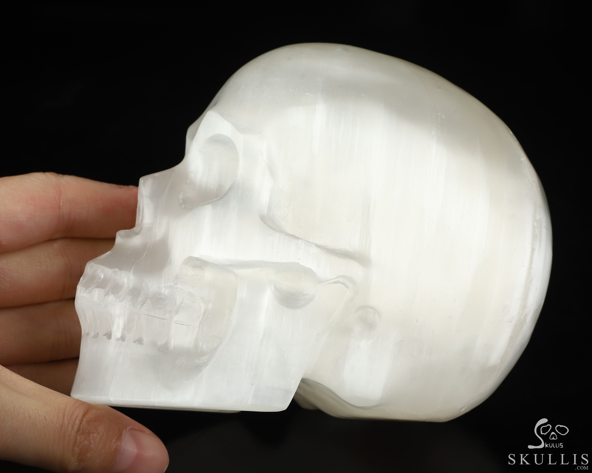 5.0" Selenite Hand Carved Crystal Skull, Realistic, Crystal Healing 5.0" Selenite Hand Carved Crystal Skull, Realistic, Crystal Healing