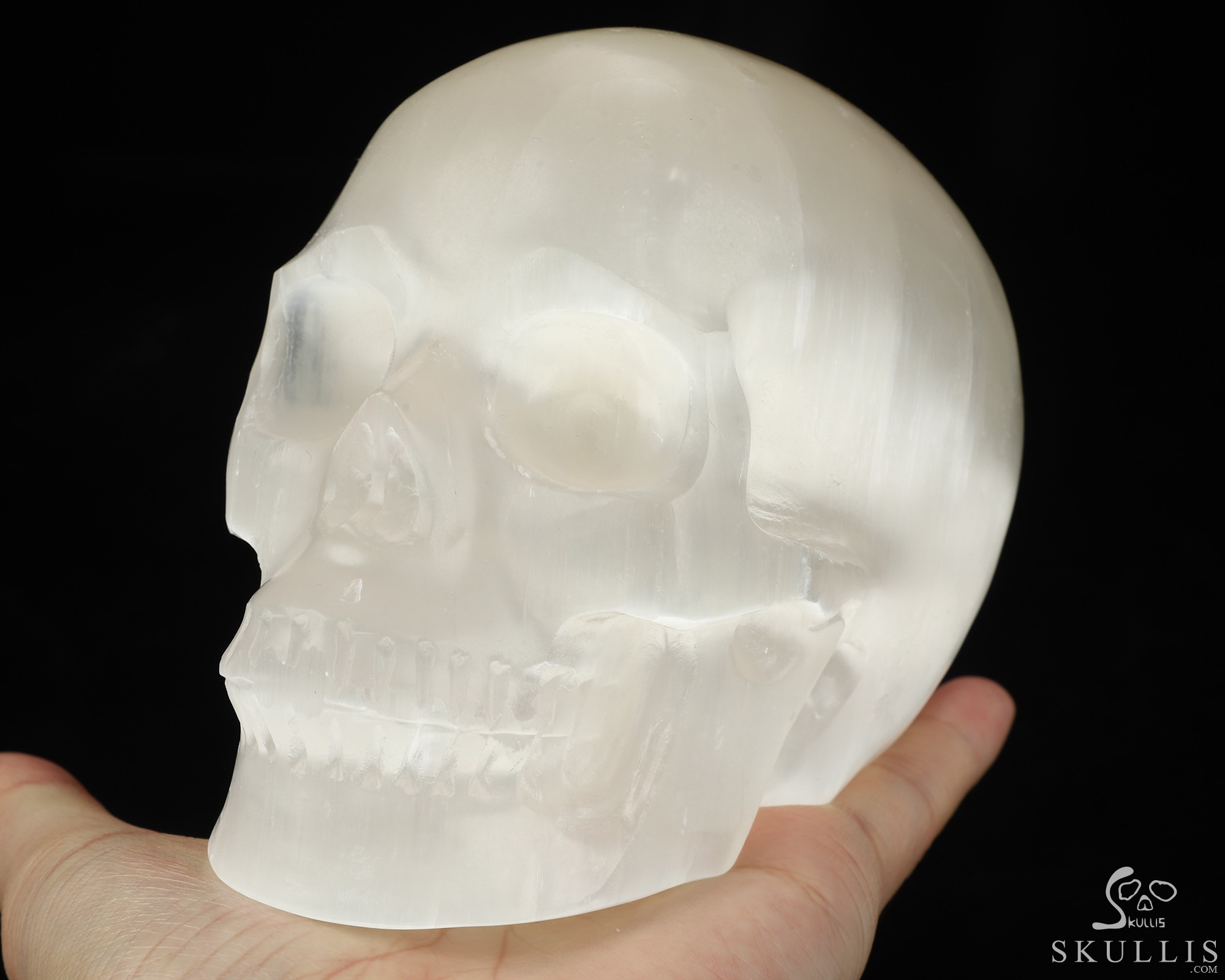 5.0" Selenite Hand Carved Crystal Skull, Realistic, Crystal Healing 5.0" Selenite Hand Carved Crystal Skull, Realistic, Crystal Healing