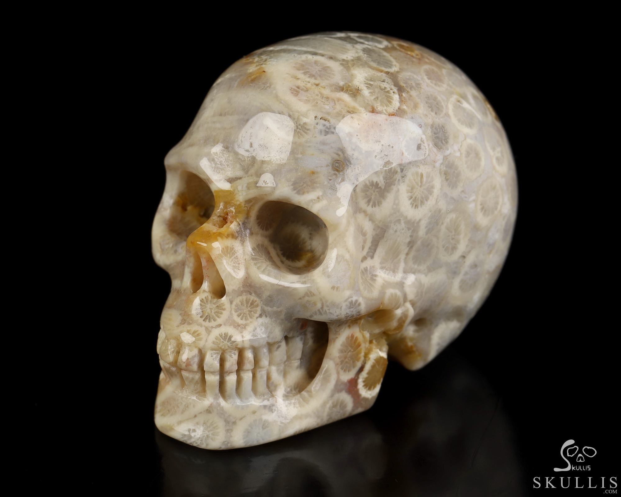 2.0" Coral Fossil Hand Carved Crystal Skull, Realistic, Crystal Healing 2.0" Coral Fossil Hand Carved Crystal Skull, Realistic, Crystal Healing
