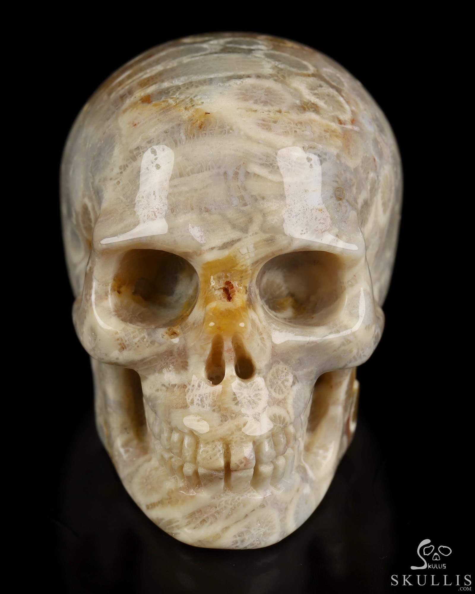 2.0" Coral Fossil Hand Carved Crystal Skull, Realistic, Crystal Healing 2.0" Coral Fossil Hand Carved Crystal Skull, Realistic, Crystal Healing