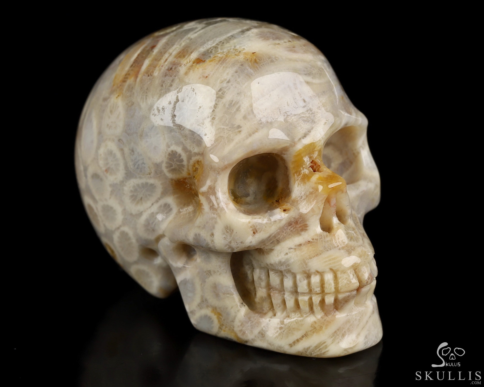 2.0" Coral Fossil Hand Carved Crystal Skull, Realistic, Crystal Healing 2.0" Coral Fossil Hand Carved Crystal Skull, Realistic, Crystal Healing