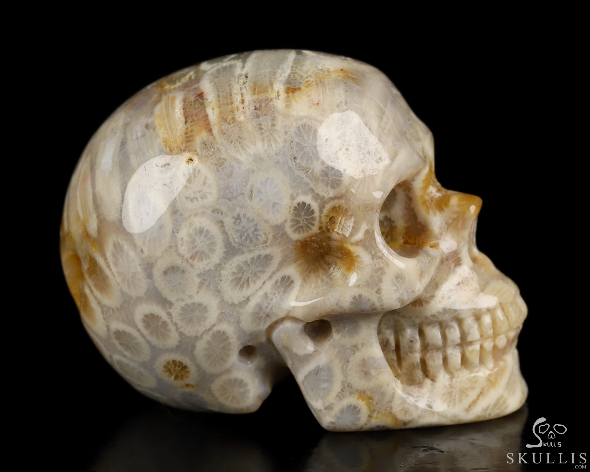 2.0" Coral Fossil Hand Carved Crystal Skull, Realistic, Crystal Healing 2.0" Coral Fossil Hand Carved Crystal Skull, Realistic, Crystal Healing