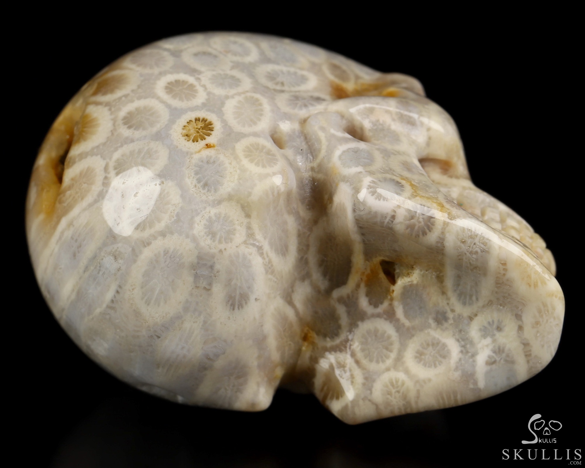 2.0" Coral Fossil Hand Carved Crystal Skull, Realistic, Crystal Healing 2.0" Coral Fossil Hand Carved Crystal Skull, Realistic, Crystal Healing