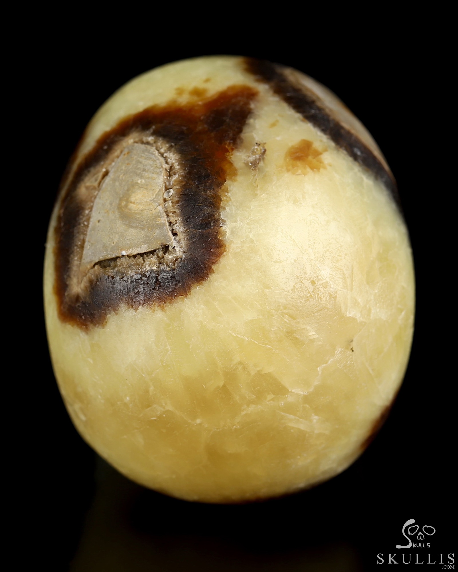 2.0" Dragon Septarian Stone Hand Carved Crystal Skull, Realistic, Crystal Healing 2.0" Dragon Septarian Stone Hand Carved Crystal Skull, Realistic, Crystal Healing