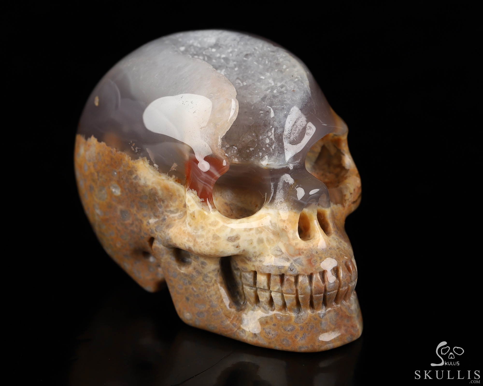 2.0" Dinosaur Egg Agate Hand Carved Crystal Skull, Realistic, Crystal Healing 2.0" Dinosaur Egg Agate Hand Carved Crystal Skull, Realistic, Crystal Healing