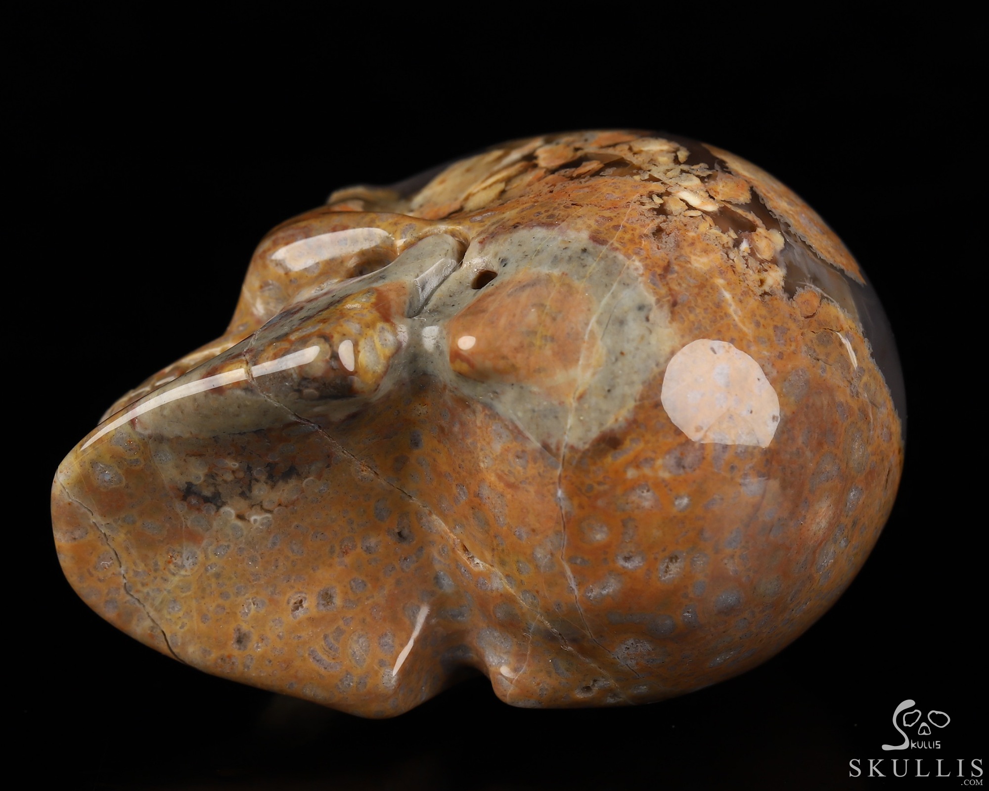 2.0" Dinosaur Egg Agate Hand Carved Crystal Skull, Realistic, Crystal Healing 2.0" Dinosaur Egg Agate Hand Carved Crystal Skull, Realistic, Crystal Healing