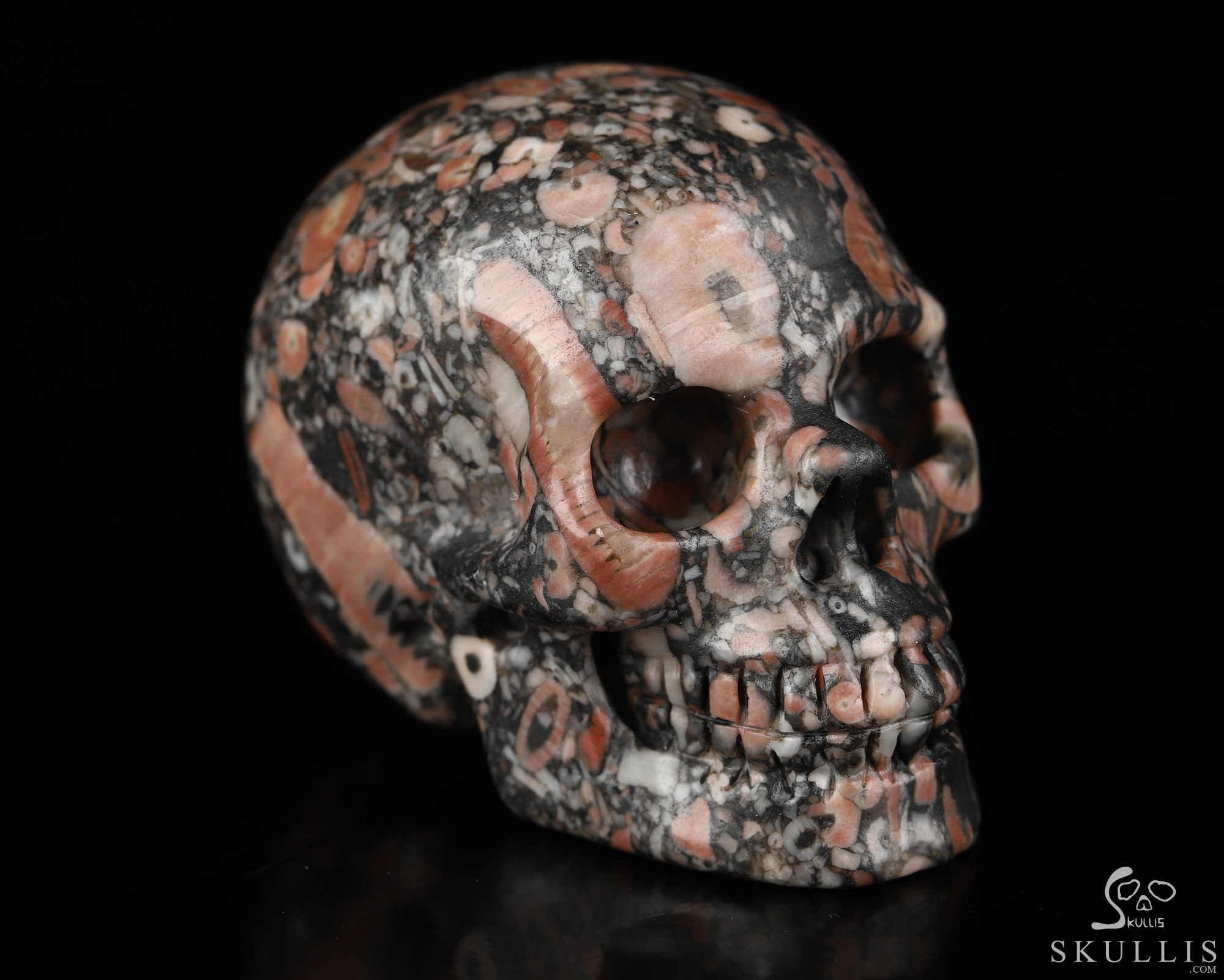 2.0" Crinoid Fossil Hand Carved Crystal Skull, Realistic, Crystal Healing 2.0" Crinoid Fossil Hand Carved Crystal Skull, Realistic, Crystal Healing