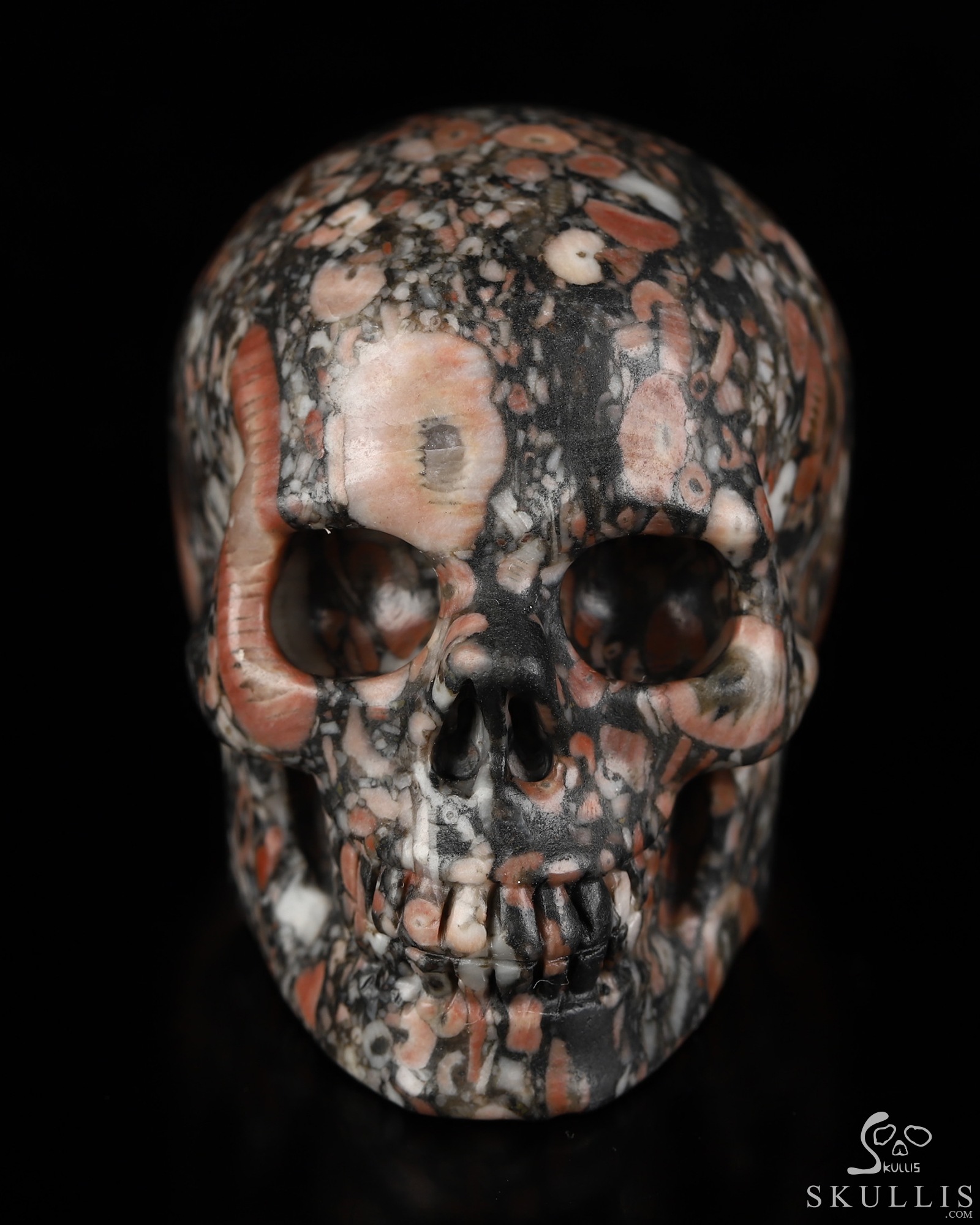 2.0" Crinoid Fossil Hand Carved Crystal Skull, Realistic, Crystal Healing 2.0" Crinoid Fossil Hand Carved Crystal Skull, Realistic, Crystal Healing