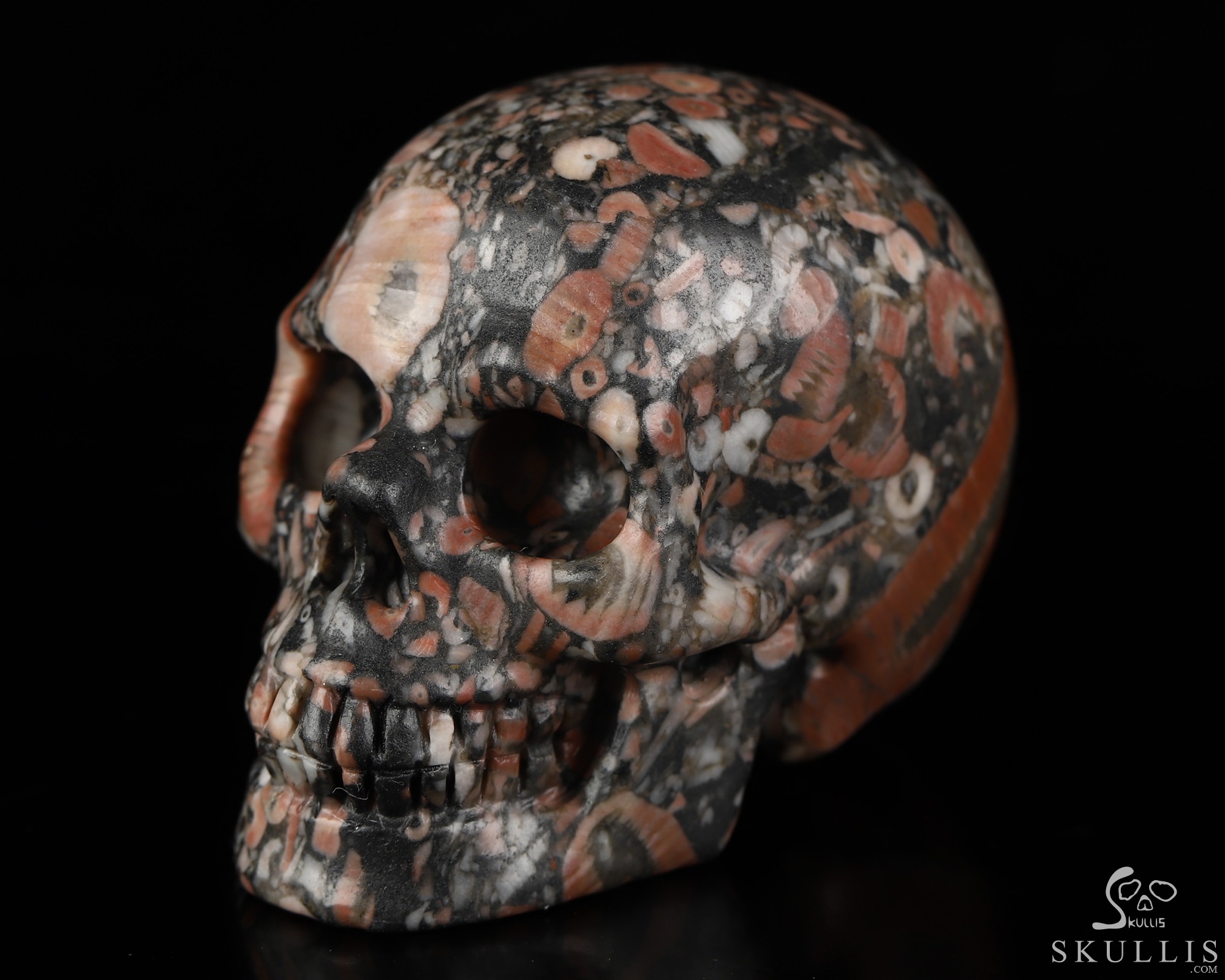 2.0" Crinoid Fossil Hand Carved Crystal Skull, Realistic, Crystal Healing 2.0" Crinoid Fossil Hand Carved Crystal Skull, Realistic, Crystal Healing