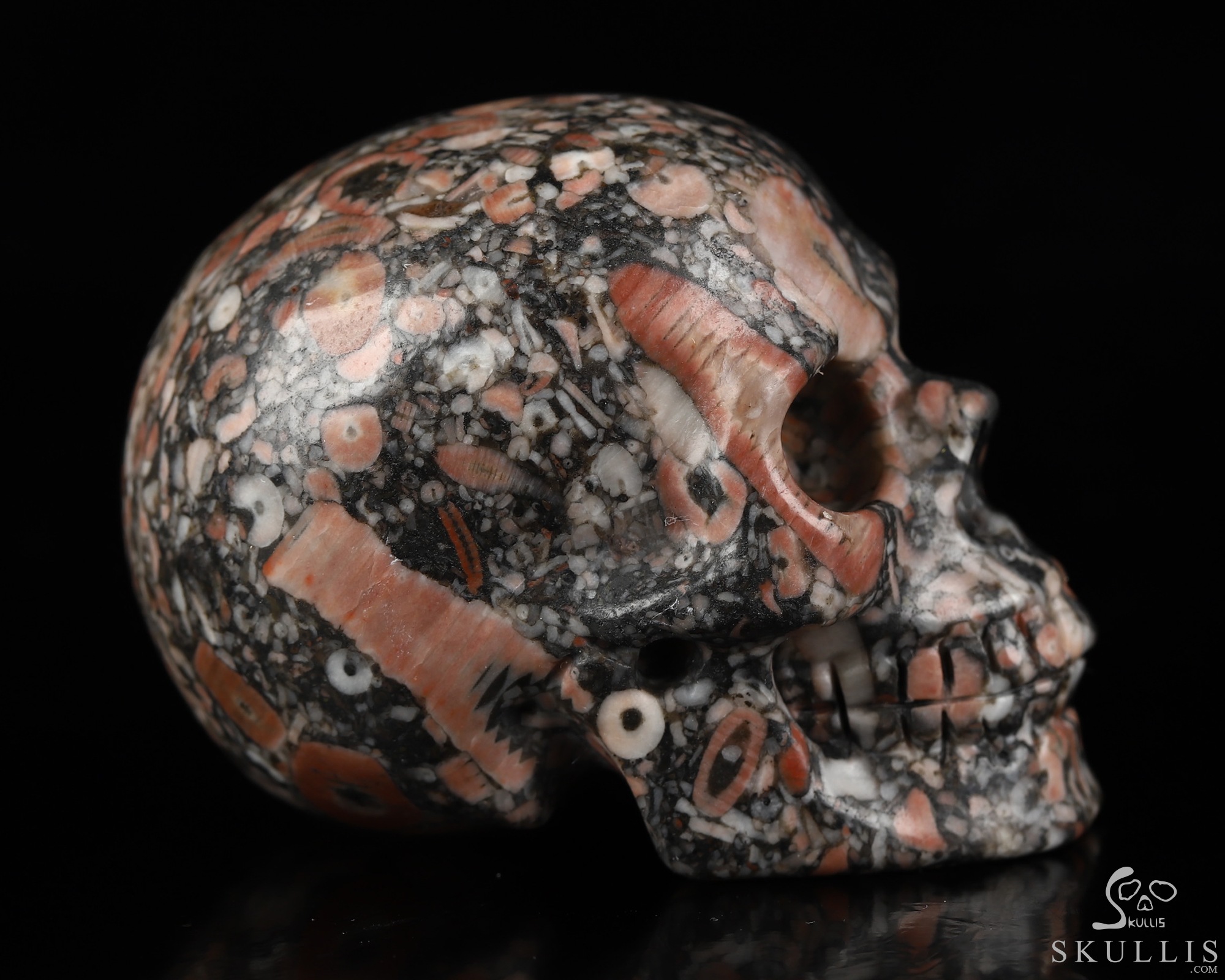 2.0" Crinoid Fossil Hand Carved Crystal Skull, Realistic, Crystal Healing 2.0" Crinoid Fossil Hand Carved Crystal Skull, Realistic, Crystal Healing