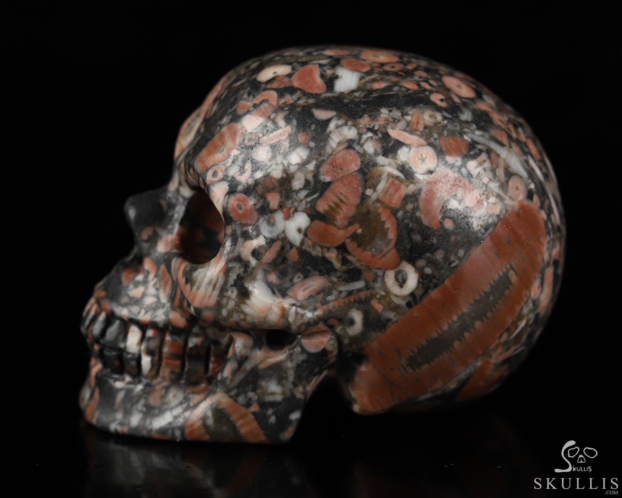 2.0" Crinoid Fossil Hand Carved Crystal Skull, Realistic, Crystal Healing 2.0" Crinoid Fossil Hand Carved Crystal Skull, Realistic, Crystal Healing