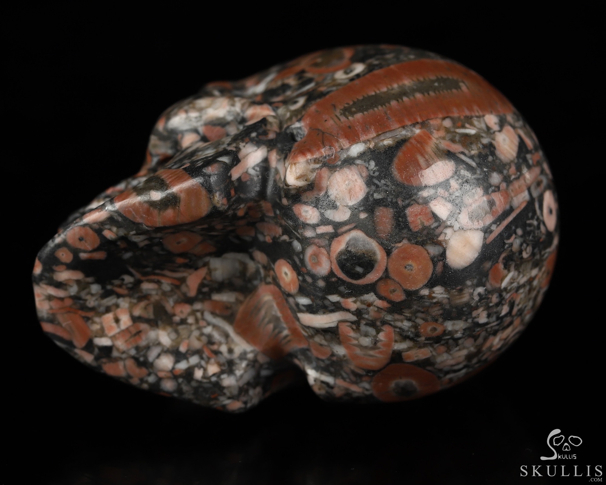 2.0" Crinoid Fossil Hand Carved Crystal Skull, Realistic, Crystal Healing 2.0" Crinoid Fossil Hand Carved Crystal Skull, Realistic, Crystal Healing