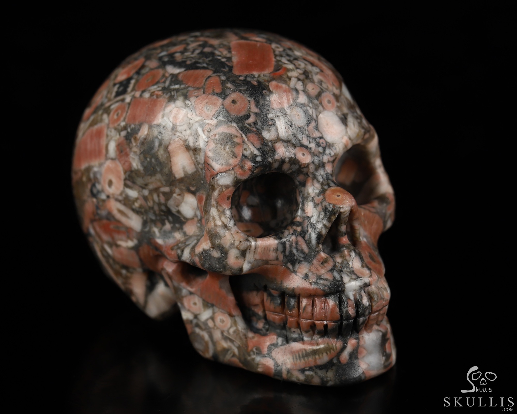 2.0" Crinoid Fossil Hand Carved Crystal Skull, Realistic, Crystal Healing 2.0" Crinoid Fossil Hand Carved Crystal Skull, Realistic, Crystal Healing