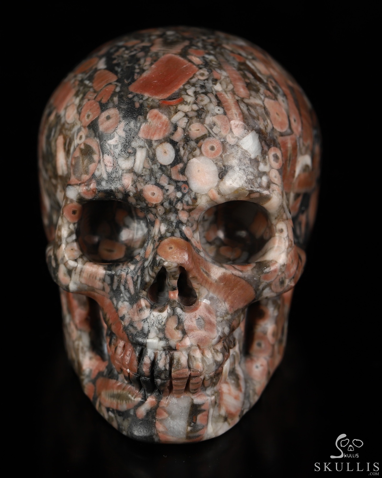 2.0" Crinoid Fossil Hand Carved Crystal Skull, Realistic, Crystal Healing 2.0" Crinoid Fossil Hand Carved Crystal Skull, Realistic, Crystal Healing
