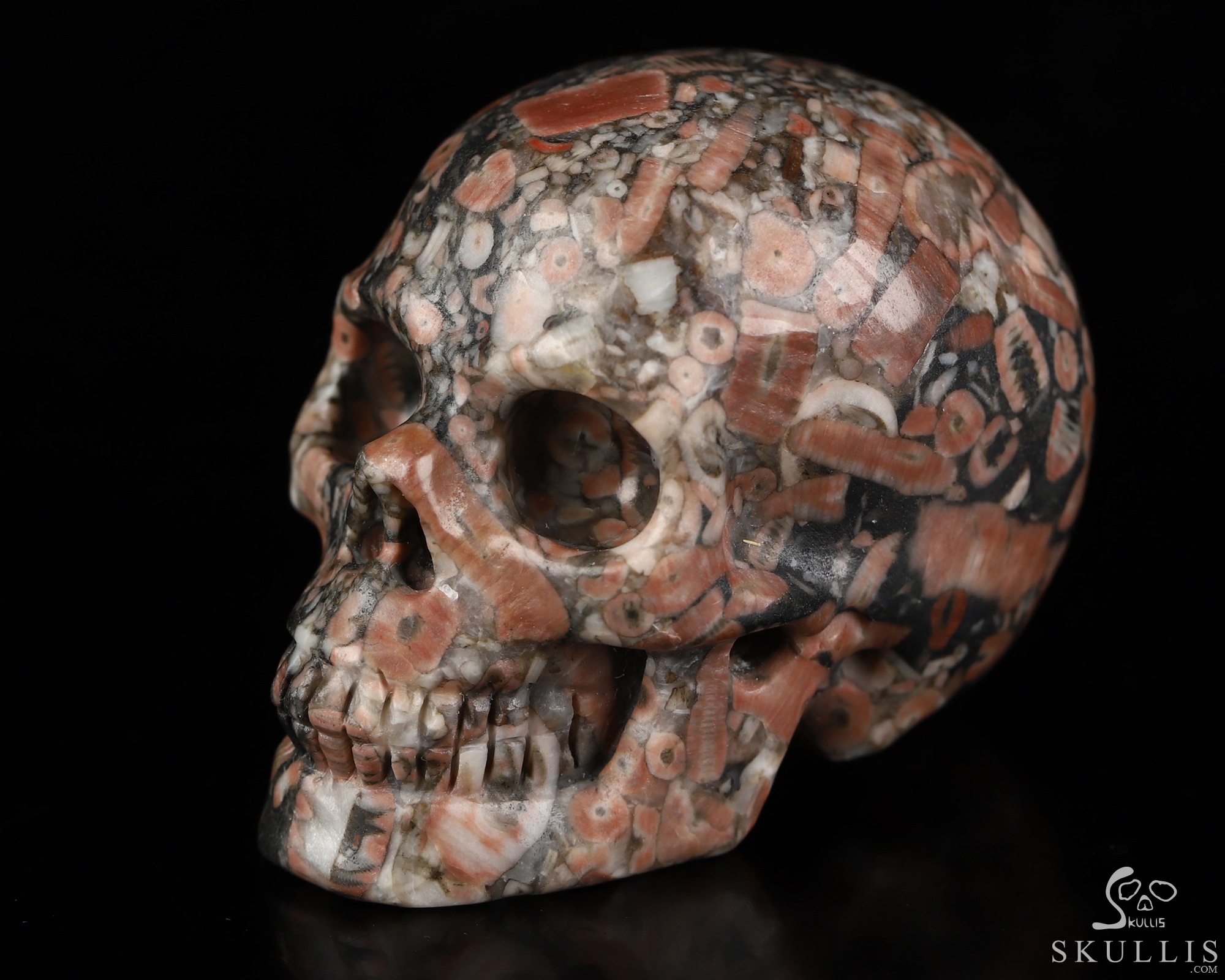 2.0" Crinoid Fossil Hand Carved Crystal Skull, Realistic, Crystal Healing 2.0" Crinoid Fossil Hand Carved Crystal Skull, Realistic, Crystal Healing
