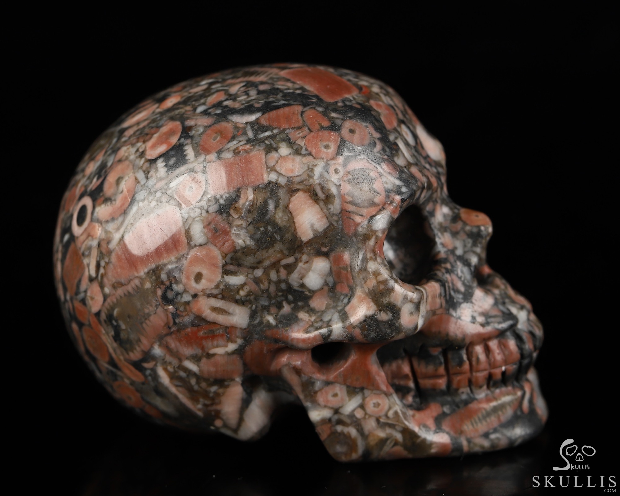 2.0" Crinoid Fossil Hand Carved Crystal Skull, Realistic, Crystal Healing 2.0" Crinoid Fossil Hand Carved Crystal Skull, Realistic, Crystal Healing