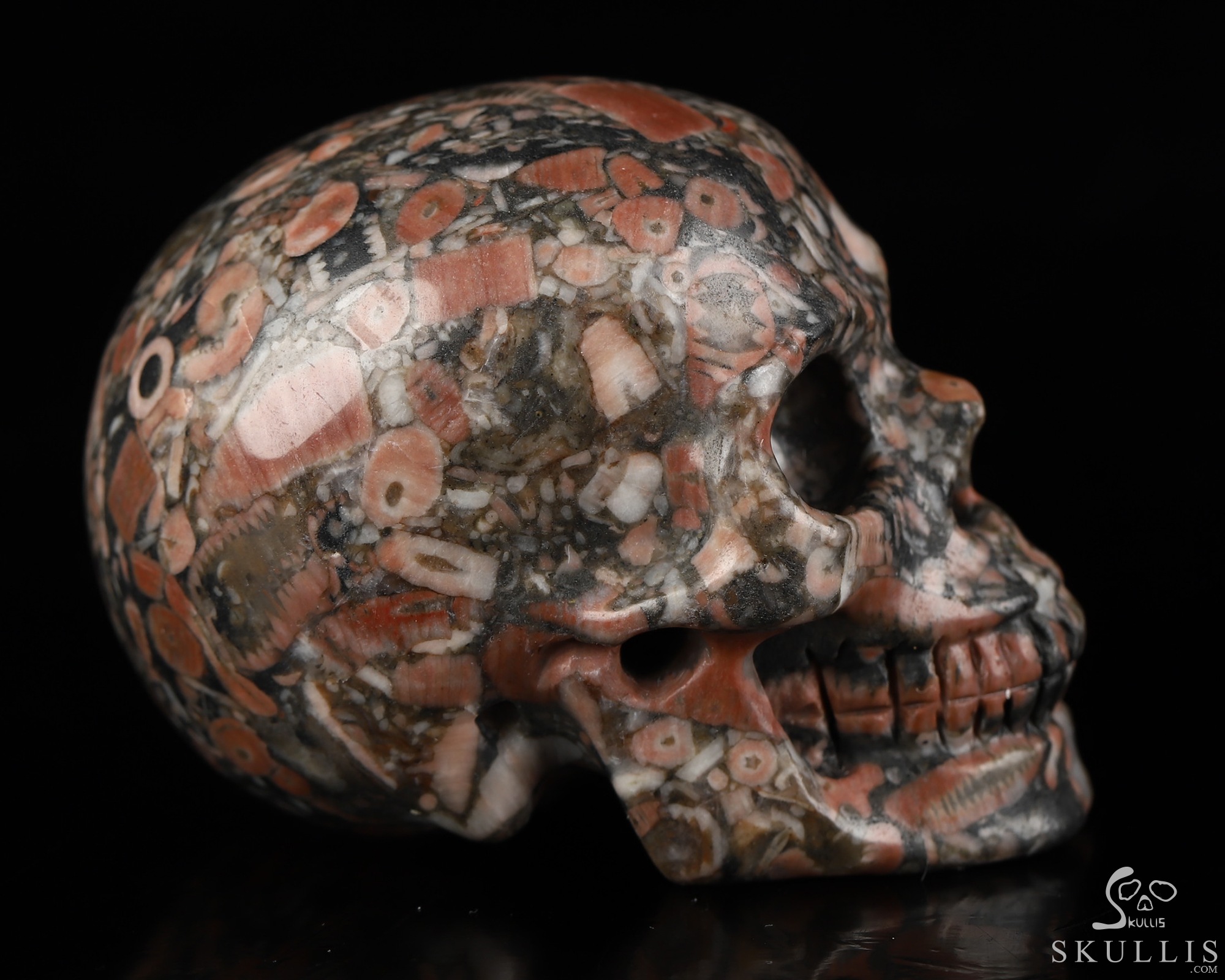2.0" Crinoid Fossil Hand Carved Crystal Skull, Realistic, Crystal Healing 2.0" Crinoid Fossil Hand Carved Crystal Skull, Realistic, Crystal Healing