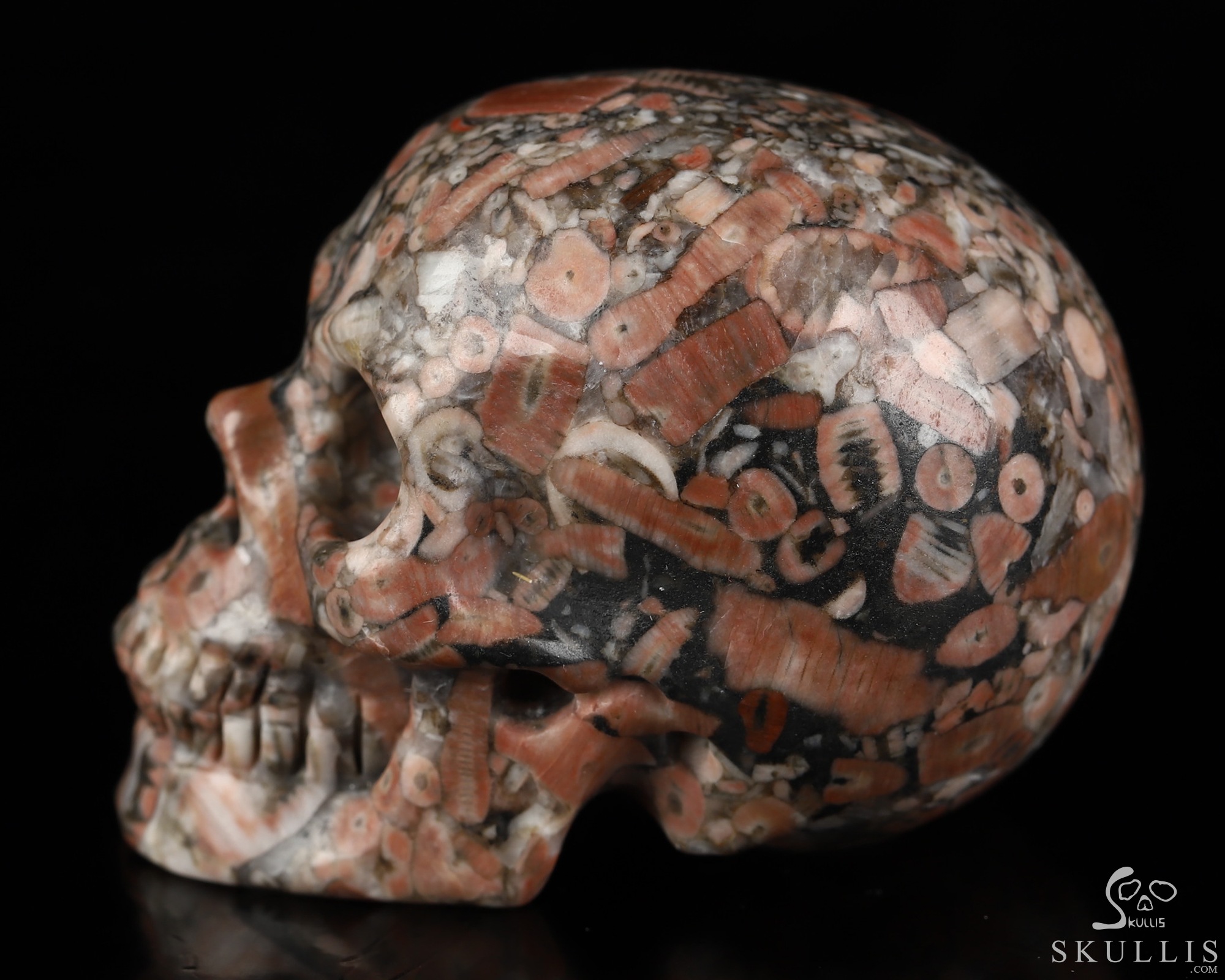 2.0" Crinoid Fossil Hand Carved Crystal Skull, Realistic, Crystal Healing 2.0" Crinoid Fossil Hand Carved Crystal Skull, Realistic, Crystal Healing