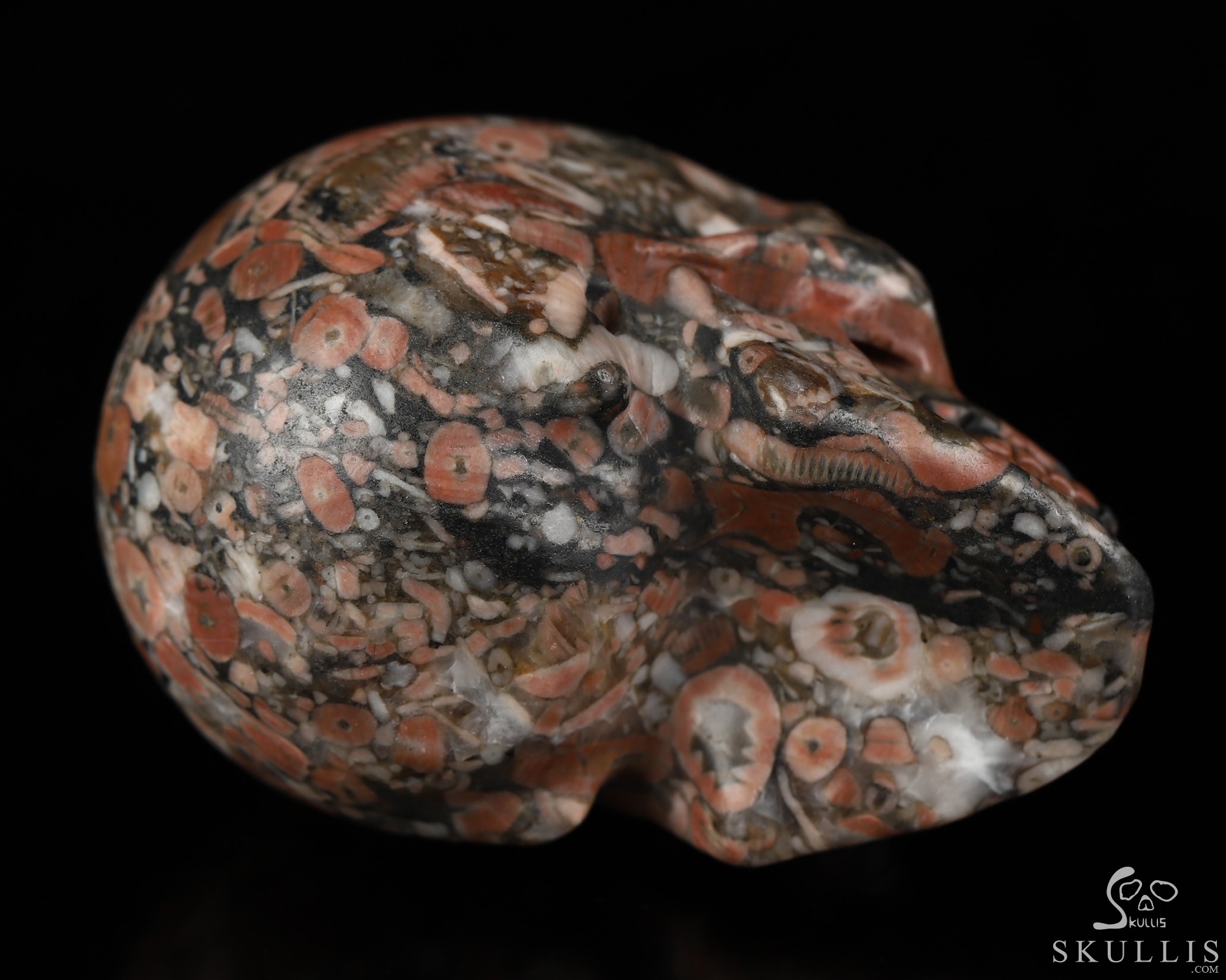 2.0" Crinoid Fossil Hand Carved Crystal Skull, Realistic, Crystal Healing 2.0" Crinoid Fossil Hand Carved Crystal Skull, Realistic, Crystal Healing