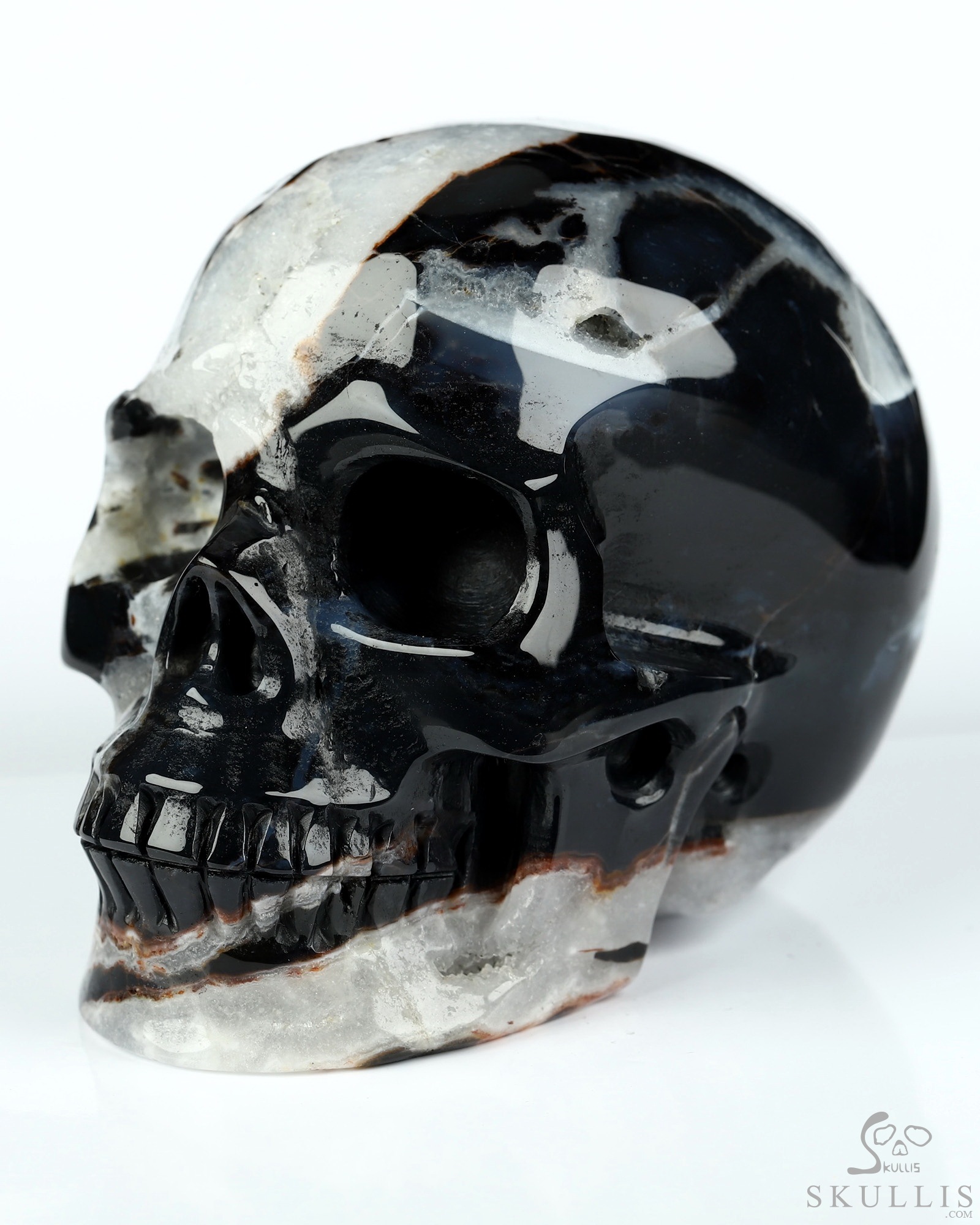 3.5" Black Zebra Agate Hand Carved Crystal Skull, Realistic, Crystal Healing 3.5" Black Zebra Agate Hand Carved Crystal Skull, Realistic, Crystal Healing