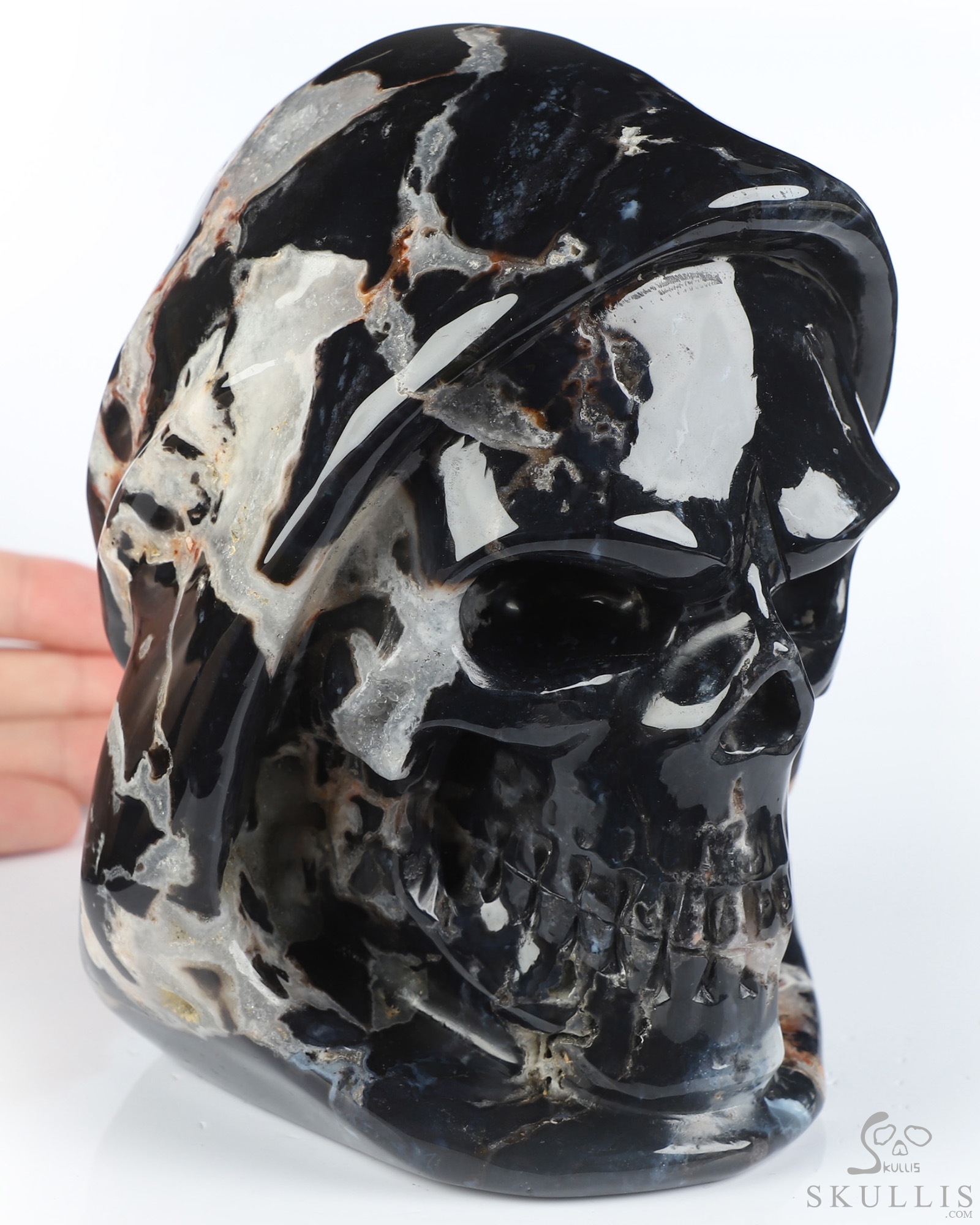 5.4" Black Zebra Agate Hand Carved Death Crystal Skull Sculpture, Crystal Healing 5.4" Black Zebra Agate Hand Carved Death Crystal Skull Sculpture, Crystal Healing