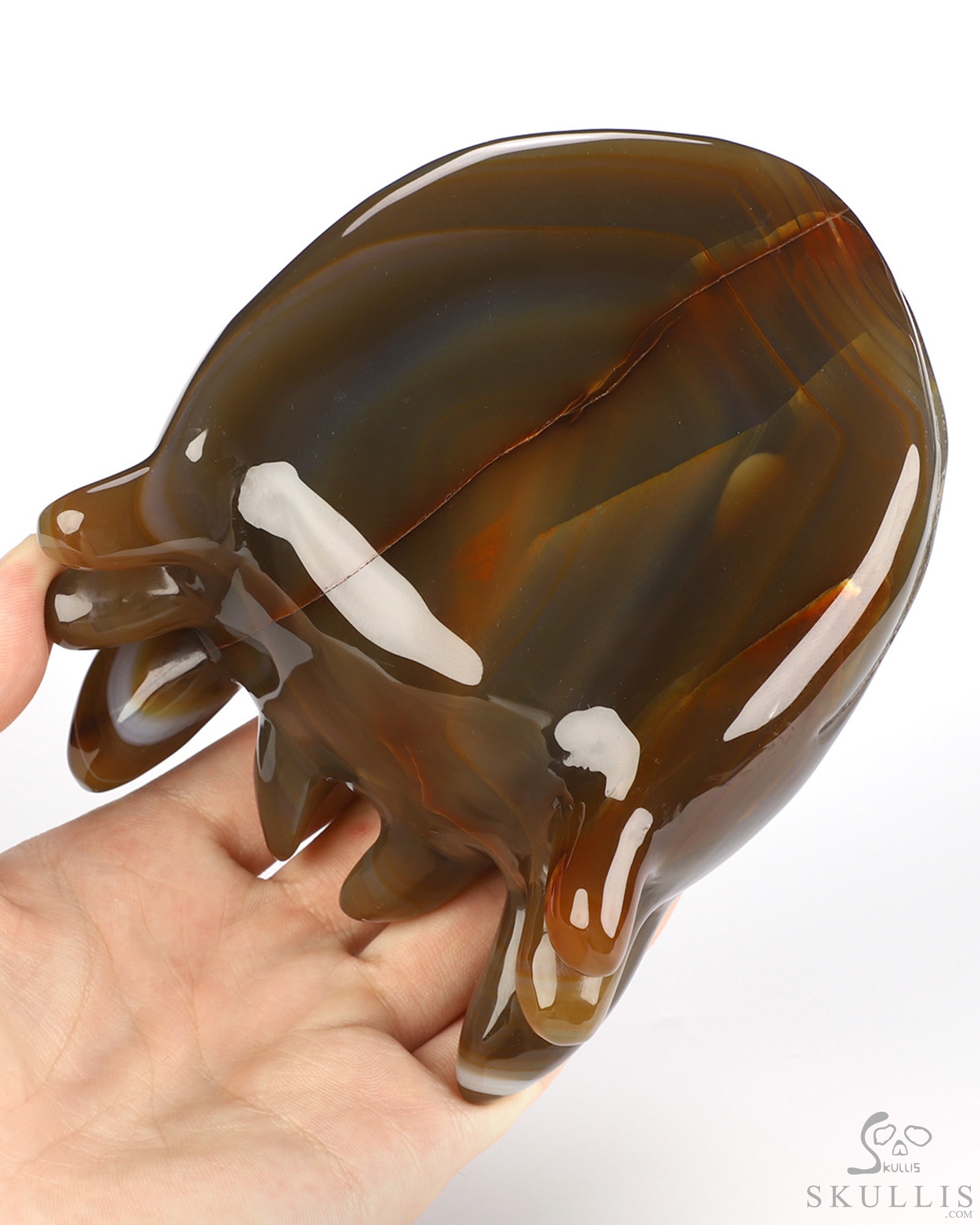 5.0" Premium Brazilian Agate Hand Carved Crystal Toothless Dragon Head Fine Art Sculpture, Crystal Healing 5.0" Premium Brazilian Agate Hand Carved Crystal Toothless Dragon Head Fine Art Sculpture, Crystal Healing
