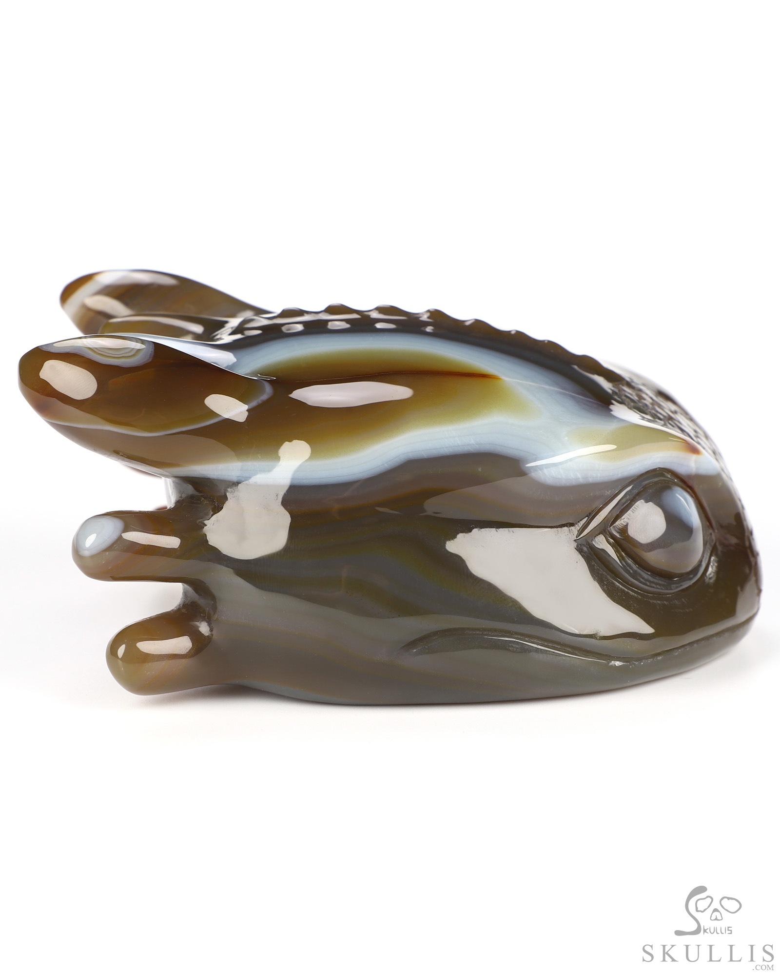 5.0" Premium Brazilian Agate Hand Carved Crystal Toothless Dragon Head Fine Art Sculpture, Crystal Healing 5.0" Premium Brazilian Agate Hand Carved Crystal Toothless Dragon Head Fine Art Sculpture, Crystal Healing