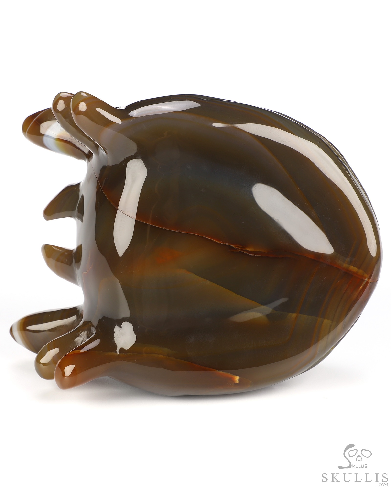 5.0" Premium Brazilian Agate Hand Carved Crystal Toothless Dragon Head Fine Art Sculpture, Crystal Healing 5.0" Premium Brazilian Agate Hand Carved Crystal Toothless Dragon Head Fine Art Sculpture, Crystal Healing