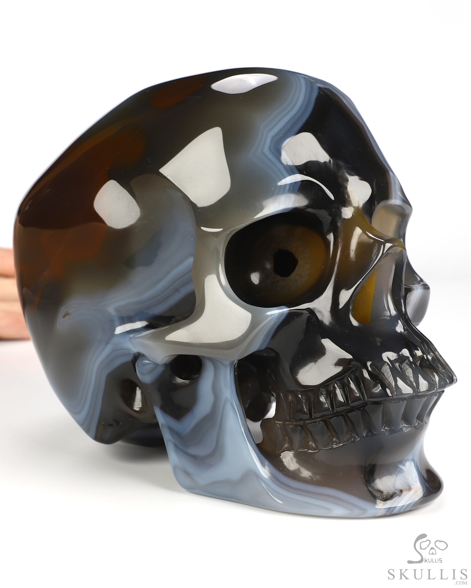 Lifesized 6.4" Premium Brazilian Agate Hand Carved Crystal Skull, Super Realistic, Crystal Healing Lifesized 6.4" Premium Brazilian Agate Hand Carved Crystal Skull, Super Realistic, Crystal Healing