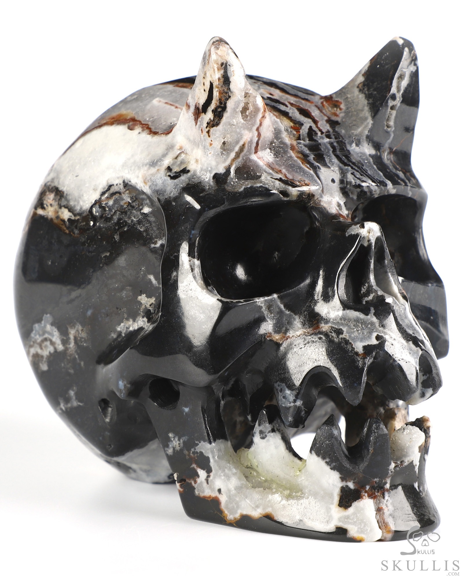 Horned Beast Skull - 5.0" Black Zebra Agate Hand Carved Crystal Skull Fine Art Sculpture, Crystal Healing Horned Beast Skull - 5.0" Black Zebra Agate Hand Carved Crystal Skull Fine Art Sculpture, Crystal Healing