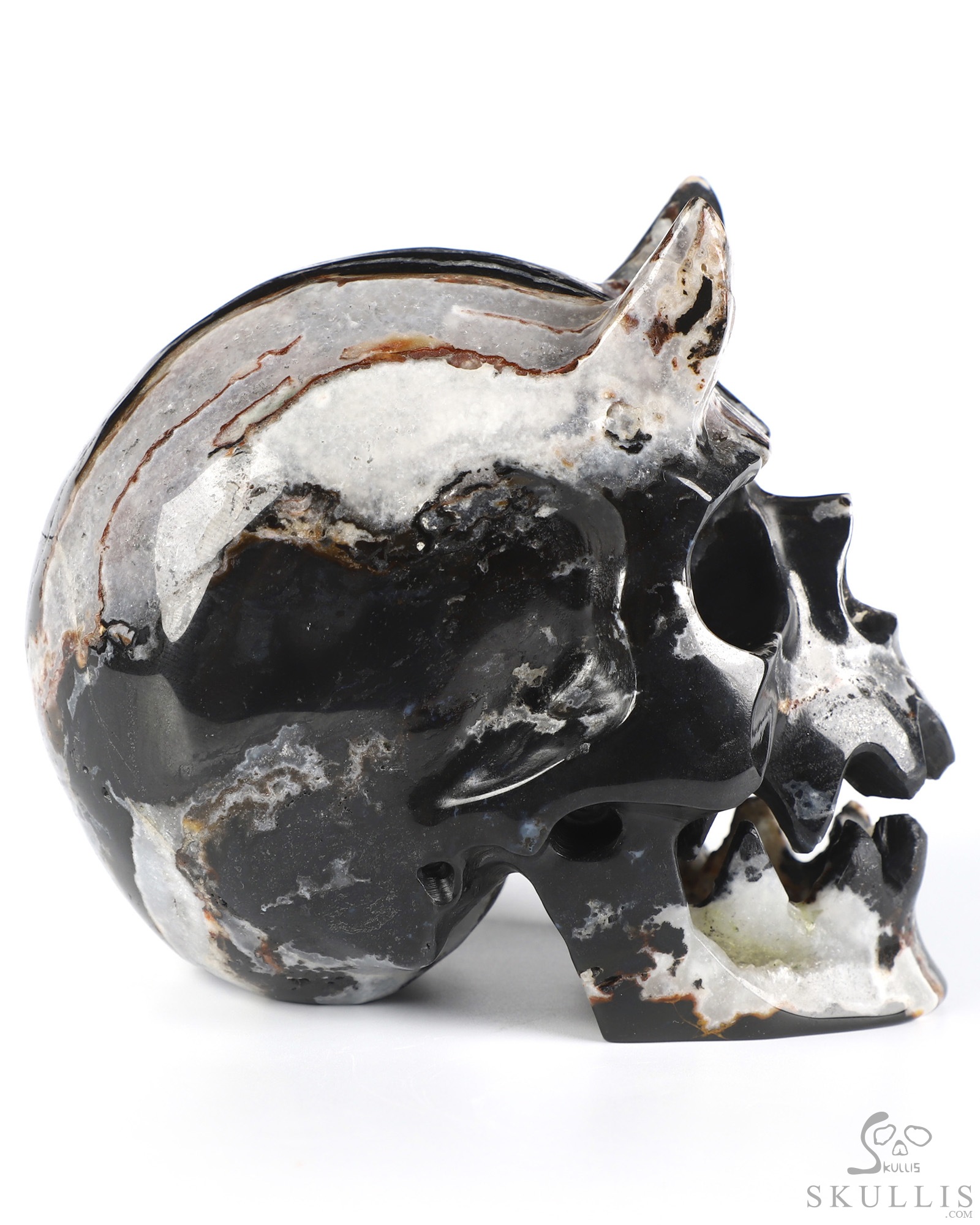 Horned Beast Skull - 5.0" Black Zebra Agate Hand Carved Crystal Skull Fine Art Sculpture, Crystal Healing Horned Beast Skull - 5.0" Black Zebra Agate Hand Carved Crystal Skull Fine Art Sculpture, Crystal Healing