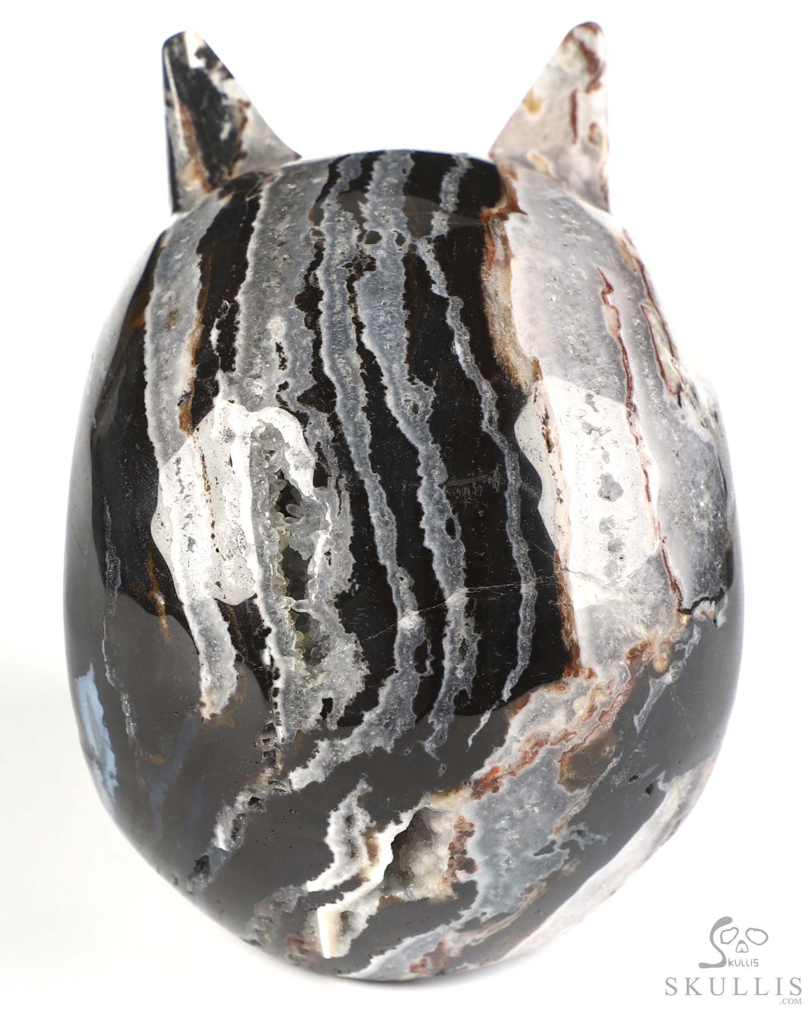 Horned Beast Skull - 5.0" Black Zebra Agate Hand Carved Crystal Skull Fine Art Sculpture, Crystal Healing Horned Beast Skull - 5.0" Black Zebra Agate Hand Carved Crystal Skull Fine Art Sculpture, Crystal Healing