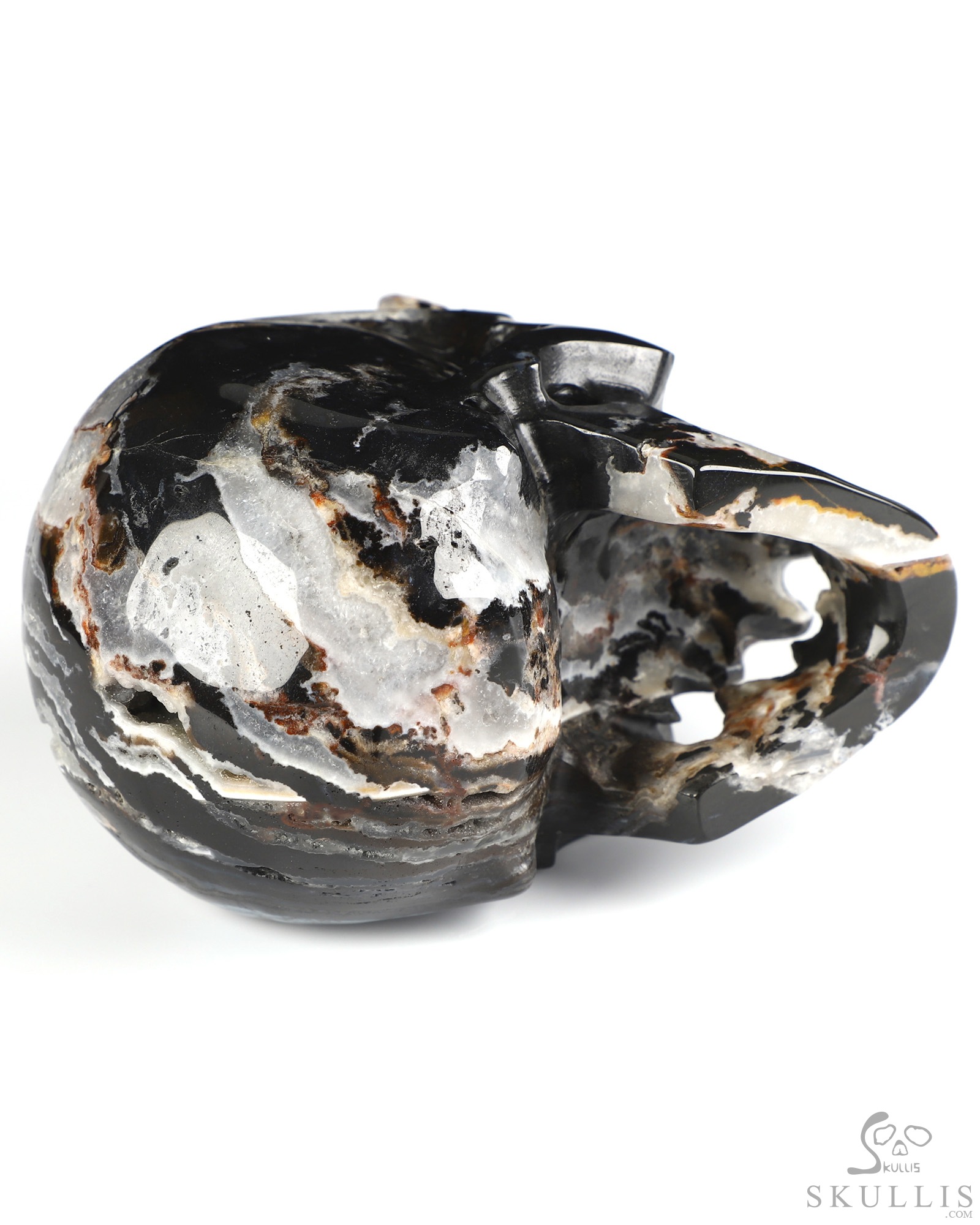 Horned Beast Skull - 5.0" Black Zebra Agate Hand Carved Crystal Skull Fine Art Sculpture, Crystal Healing Horned Beast Skull - 5.0" Black Zebra Agate Hand Carved Crystal Skull Fine Art Sculpture, Crystal Healing