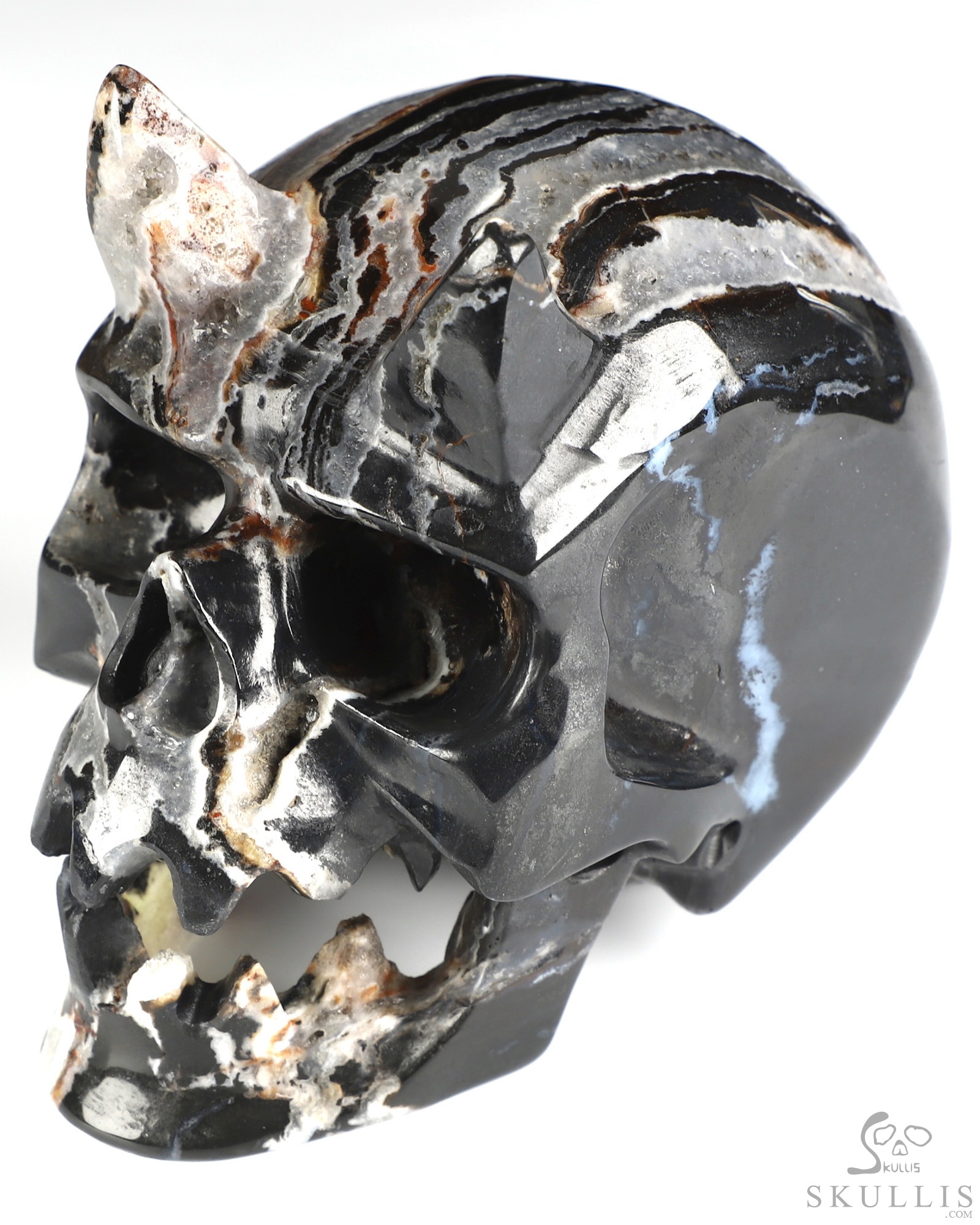 Horned Beast Skull - 5.0" Black Zebra Agate Hand Carved Crystal Skull Fine Art Sculpture, Crystal Healing Horned Beast Skull - 5.0" Black Zebra Agate Hand Carved Crystal Skull Fine Art Sculpture, Crystal Healing