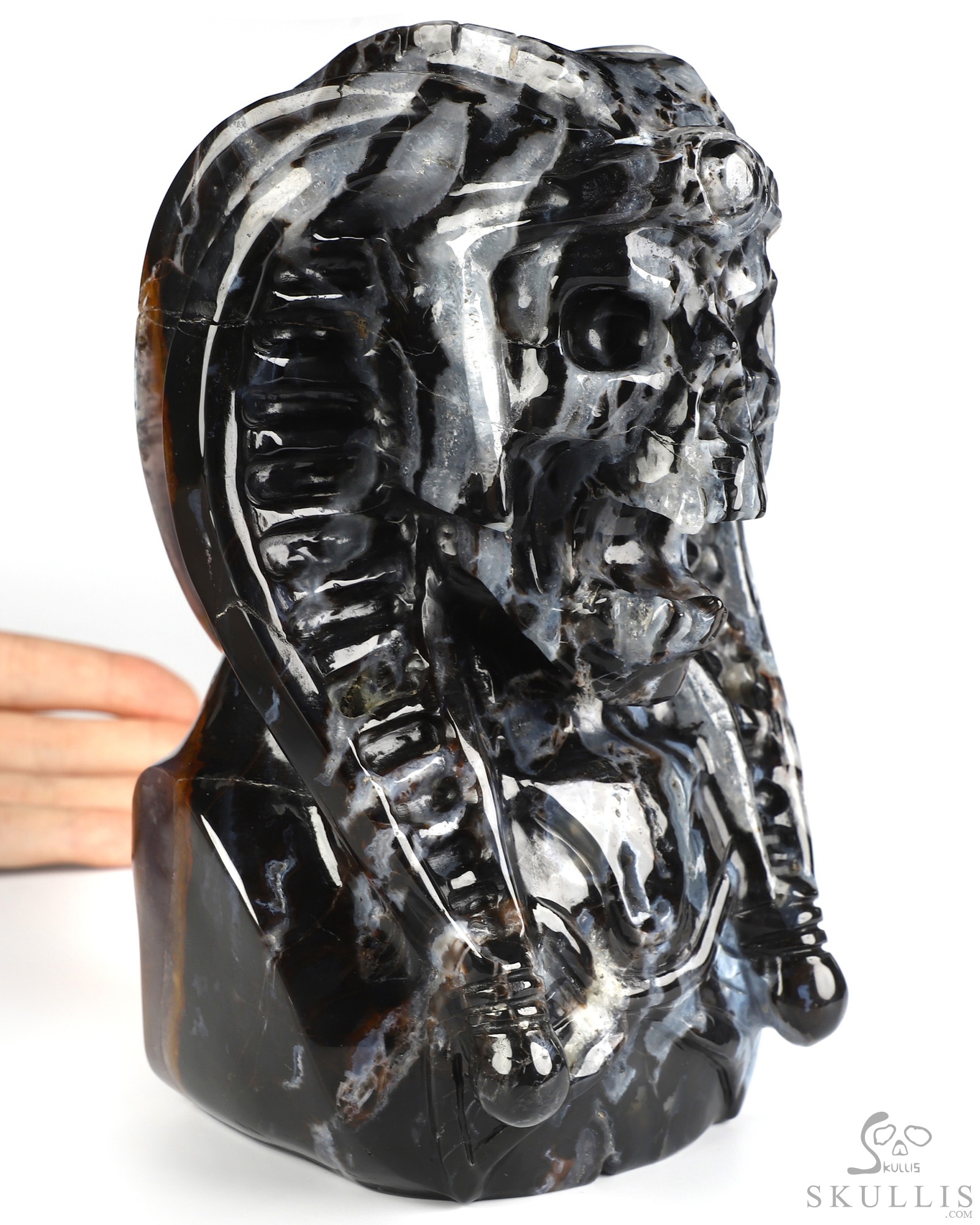 7.4" Black Zebra Agate Hand Carved Vampire Crystal Skull and Red Jasper Tongue Sculpture, Crystal Healing 7.4" Black Zebra Agate Hand Carved Vampire Crystal Skull and Red Jasper Tongue Sculpture, Crystal Healing