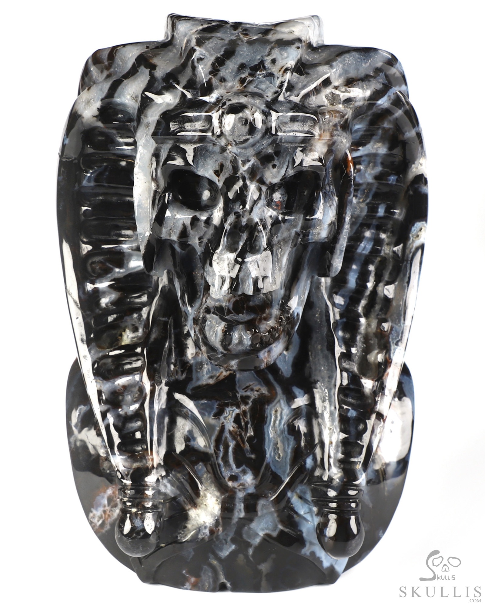 7.4" Black Zebra Agate Hand Carved Vampire Crystal Skull and Red Jasper Tongue Sculpture, Crystal Healing 7.4" Black Zebra Agate Hand Carved Vampire Crystal Skull and Red Jasper Tongue Sculpture, Crystal Healing