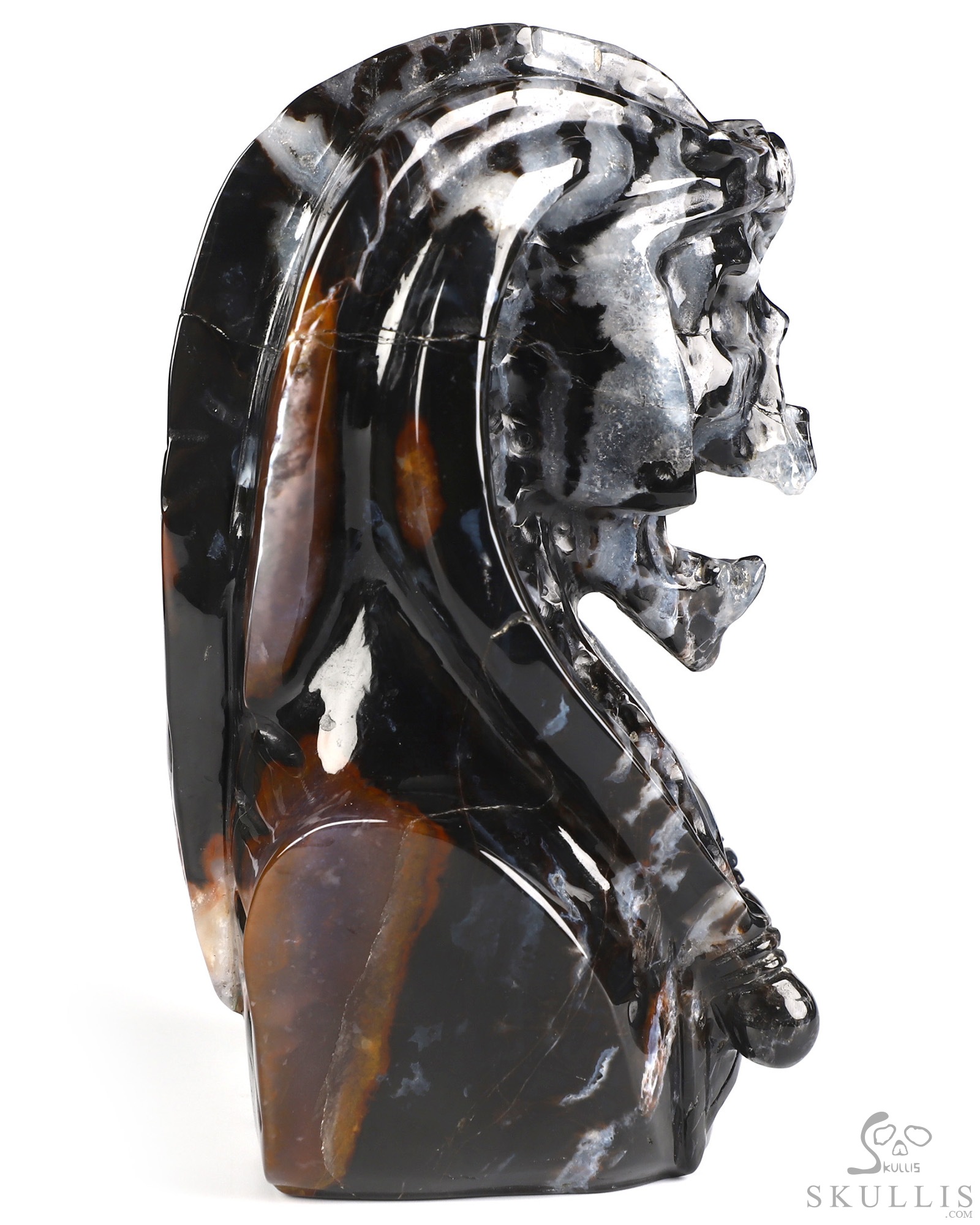 7.4" Black Zebra Agate Hand Carved Vampire Crystal Skull and Red Jasper Tongue Sculpture, Crystal Healing 7.4" Black Zebra Agate Hand Carved Vampire Crystal Skull and Red Jasper Tongue Sculpture, Crystal Healing
