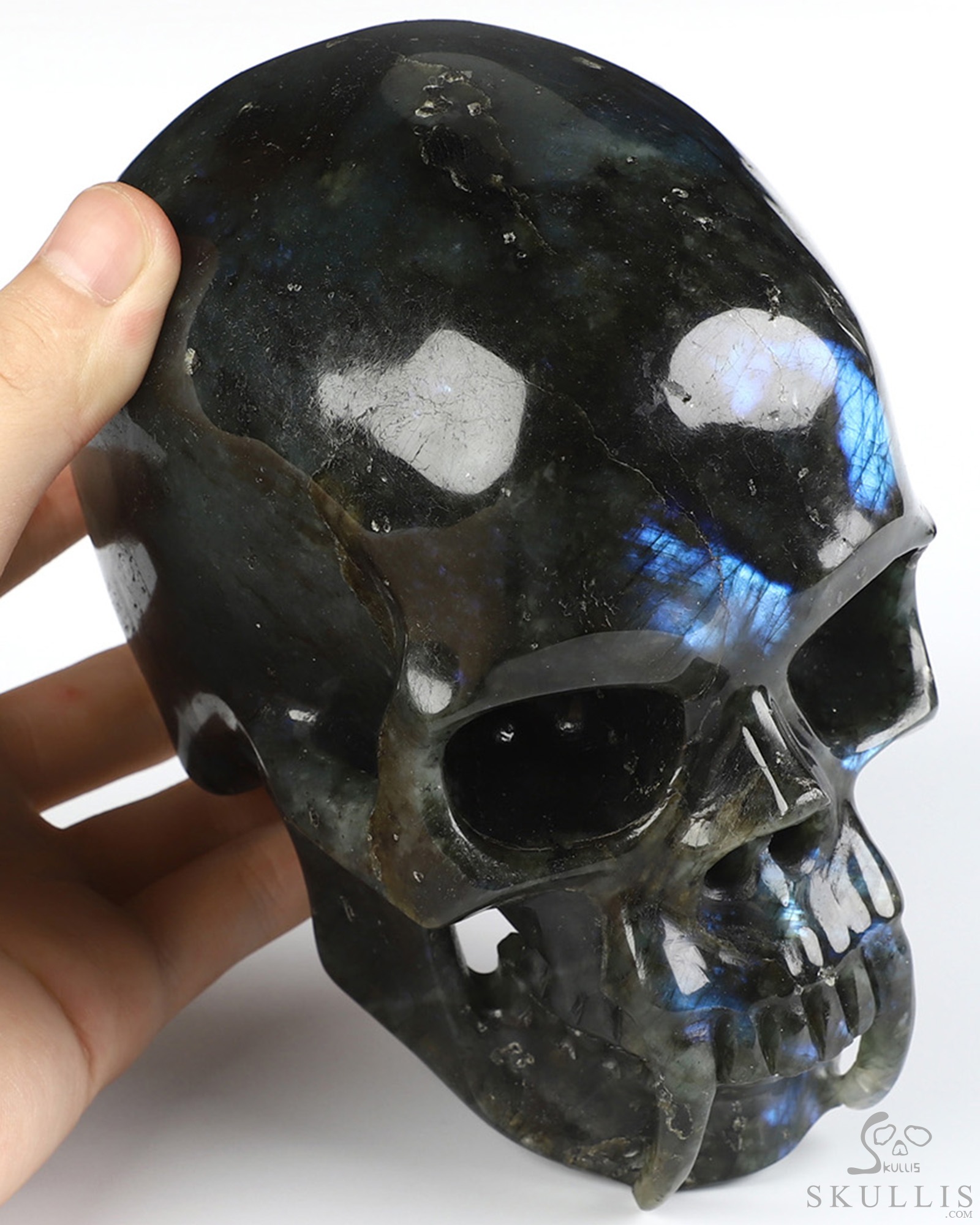 6.0" Labradorite Hand Carved Vampire Crystal Skull, Crystal Healing 6.0" Labradorite Hand Carved Vampire Crystal Skull, Crystal Healing