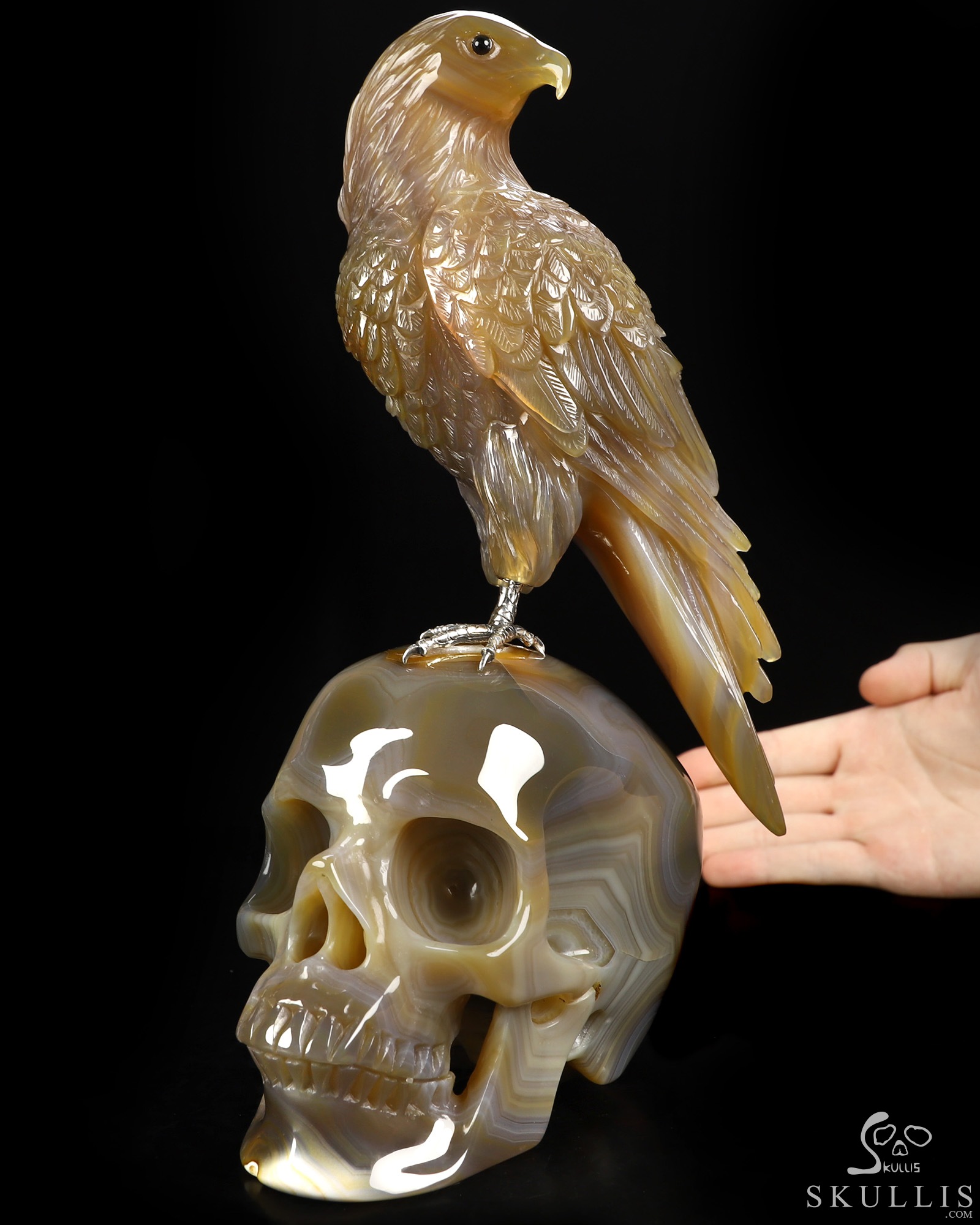 Aug 30, 2026 ACSAD (A Crystal Skull a Day) - Apotheosis - 9.4" Premium Brazilian Agate Hand Carved Eagle on Crystal Skull Sculpture with Black Onyx Eyes & Silver-Plated Claws, Crystal Healing Aug 30, 2026 ACSAD (A Crystal Skull a Day) - Apotheosis - 9.4" Premium Brazilian Agate Hand Carved Eagle on Crystal Skull Sculpture with Black Onyx Eyes & Silver-Plated Claws, Crystal Healing
