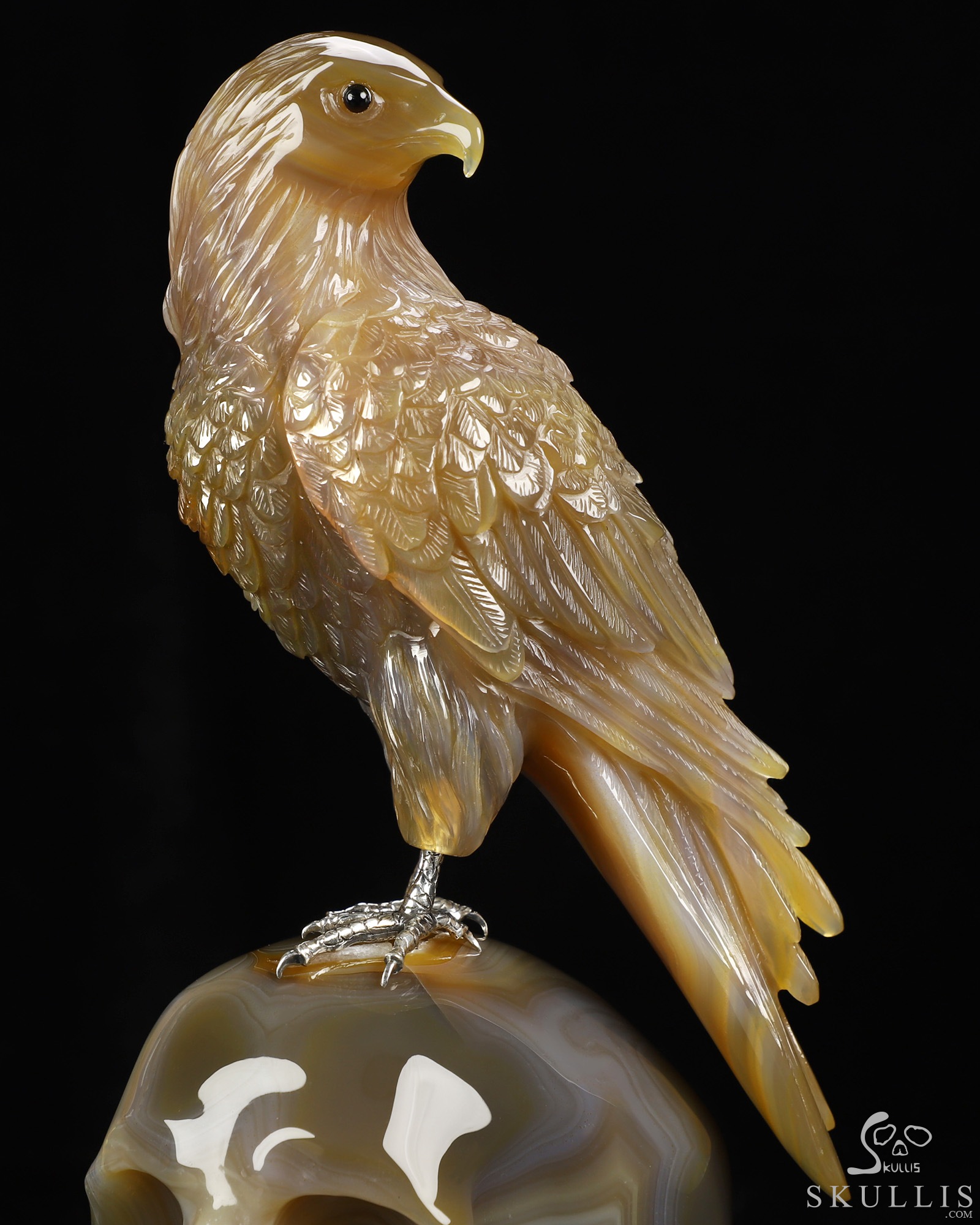 Aug 30, 2026 ACSAD (A Crystal Skull a Day) - Apotheosis - 9.4" Premium Brazilian Agate Hand Carved Eagle on Crystal Skull Sculpture with Black Onyx Eyes & Silver-Plated Claws, Crystal Healing Aug 30, 2026 ACSAD (A Crystal Skull a Day) - Apotheosis - 9.4" Premium Brazilian Agate Hand Carved Eagle on Crystal Skull Sculpture with Black Onyx Eyes & Silver-Plated Claws, Crystal Healing