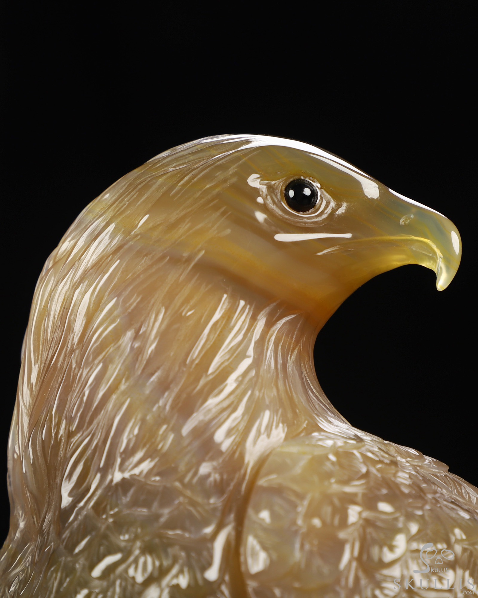 Aug 30, 2026 ACSAD (A Crystal Skull a Day) - Apotheosis - 9.4" Premium Brazilian Agate Hand Carved Eagle on Crystal Skull Sculpture with Black Onyx Eyes & Silver-Plated Claws, Crystal Healing Aug 30, 2026 ACSAD (A Crystal Skull a Day) - Apotheosis - 9.4" Premium Brazilian Agate Hand Carved Eagle on Crystal Skull Sculpture with Black Onyx Eyes & Silver-Plated Claws, Crystal Healing