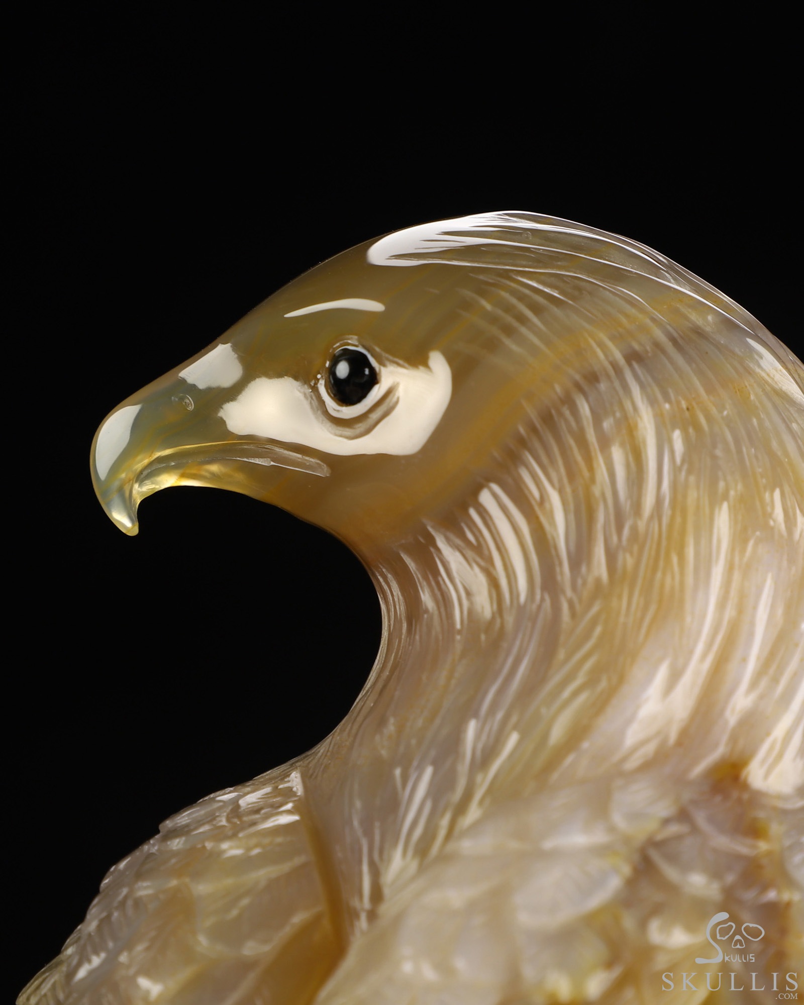 Aug 30, 2026 ACSAD (A Crystal Skull a Day) - Apotheosis - 9.4" Premium Brazilian Agate Hand Carved Eagle on Crystal Skull Sculpture with Black Onyx Eyes & Silver-Plated Claws, Crystal Healing Aug 30, 2026 ACSAD (A Crystal Skull a Day) - Apotheosis - 9.4" Premium Brazilian Agate Hand Carved Eagle on Crystal Skull Sculpture with Black Onyx Eyes & Silver-Plated Claws, Crystal Healing