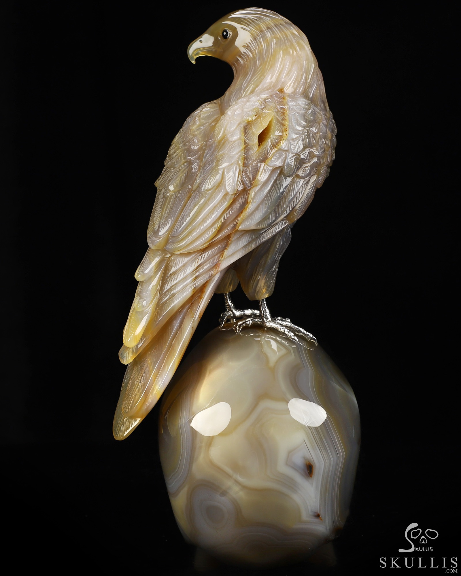 Aug 30, 2026 ACSAD (A Crystal Skull a Day) - Apotheosis - 9.4" Premium Brazilian Agate Hand Carved Eagle on Crystal Skull Sculpture with Black Onyx Eyes & Silver-Plated Claws, Crystal Healing Aug 30, 2026 ACSAD (A Crystal Skull a Day) - Apotheosis - 9.4" Premium Brazilian Agate Hand Carved Eagle on Crystal Skull Sculpture with Black Onyx Eyes & Silver-Plated Claws, Crystal Healing
