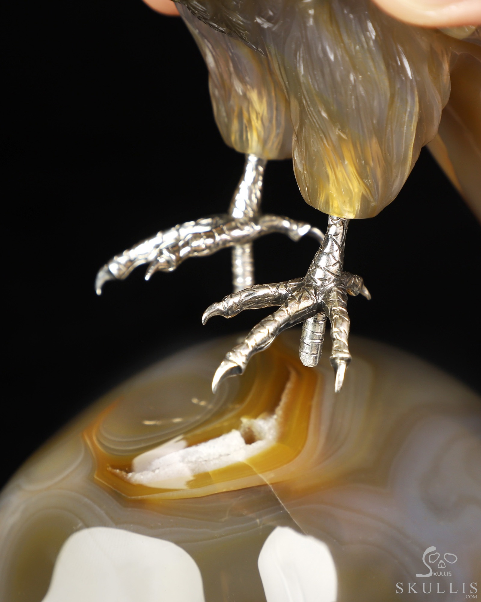 Aug 30, 2026 ACSAD (A Crystal Skull a Day) - Apotheosis - 9.4" Premium Brazilian Agate Hand Carved Eagle on Crystal Skull Sculpture with Black Onyx Eyes & Silver-Plated Claws, Crystal Healing Aug 30, 2026 ACSAD (A Crystal Skull a Day) - Apotheosis - 9.4" Premium Brazilian Agate Hand Carved Eagle on Crystal Skull Sculpture with Black Onyx Eyes & Silver-Plated Claws, Crystal Healing