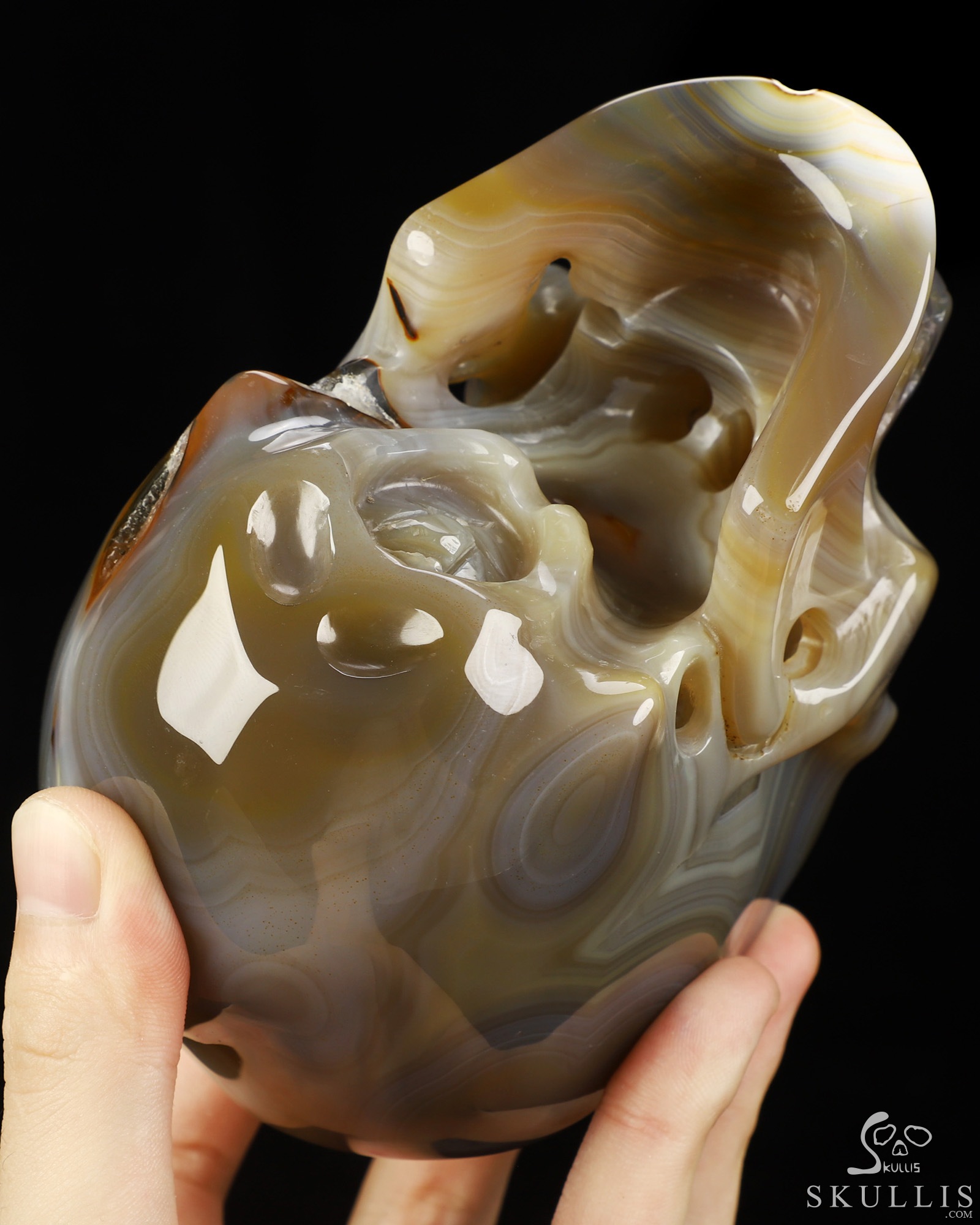 Aug 30, 2026 ACSAD (A Crystal Skull a Day) - Apotheosis - 9.4" Premium Brazilian Agate Hand Carved Eagle on Crystal Skull Sculpture with Black Onyx Eyes & Silver-Plated Claws, Crystal Healing Aug 30, 2026 ACSAD (A Crystal Skull a Day) - Apotheosis - 9.4" Premium Brazilian Agate Hand Carved Eagle on Crystal Skull Sculpture with Black Onyx Eyes & Silver-Plated Claws, Crystal Healing