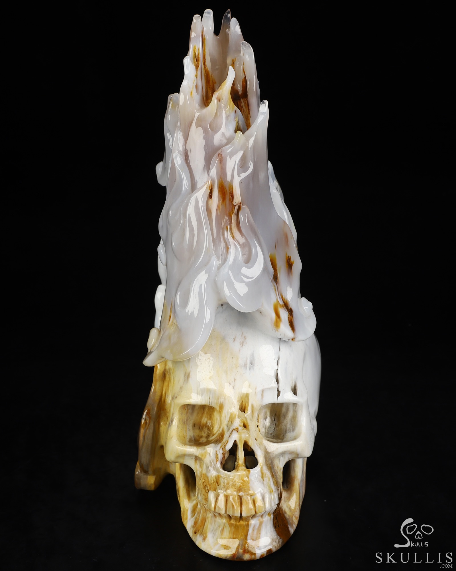 Aug 27, 2026 ACSAD (A Crystal Skull a Day) - AND STILL, IT BURNS - 8.1" Agatized Petrified Wood Hand Carved Flaming Crystal Skull, Crystal Healing Aug 27, 2026 ACSAD (A Crystal Skull a Day) - AND STILL, IT BURNS - 8.1" Agatized Petrified Wood Hand Carved Flaming Crystal Skull, Crystal Healing